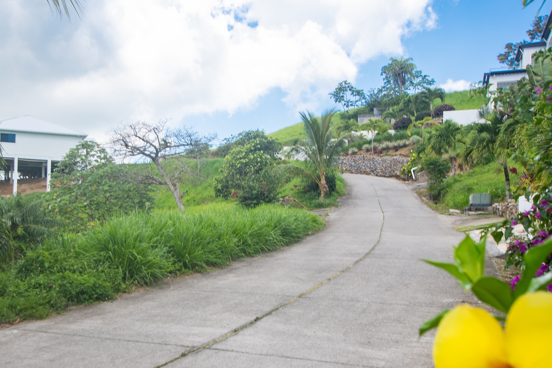  Lot 14 White Hills, Coral Views Village - 物件實景