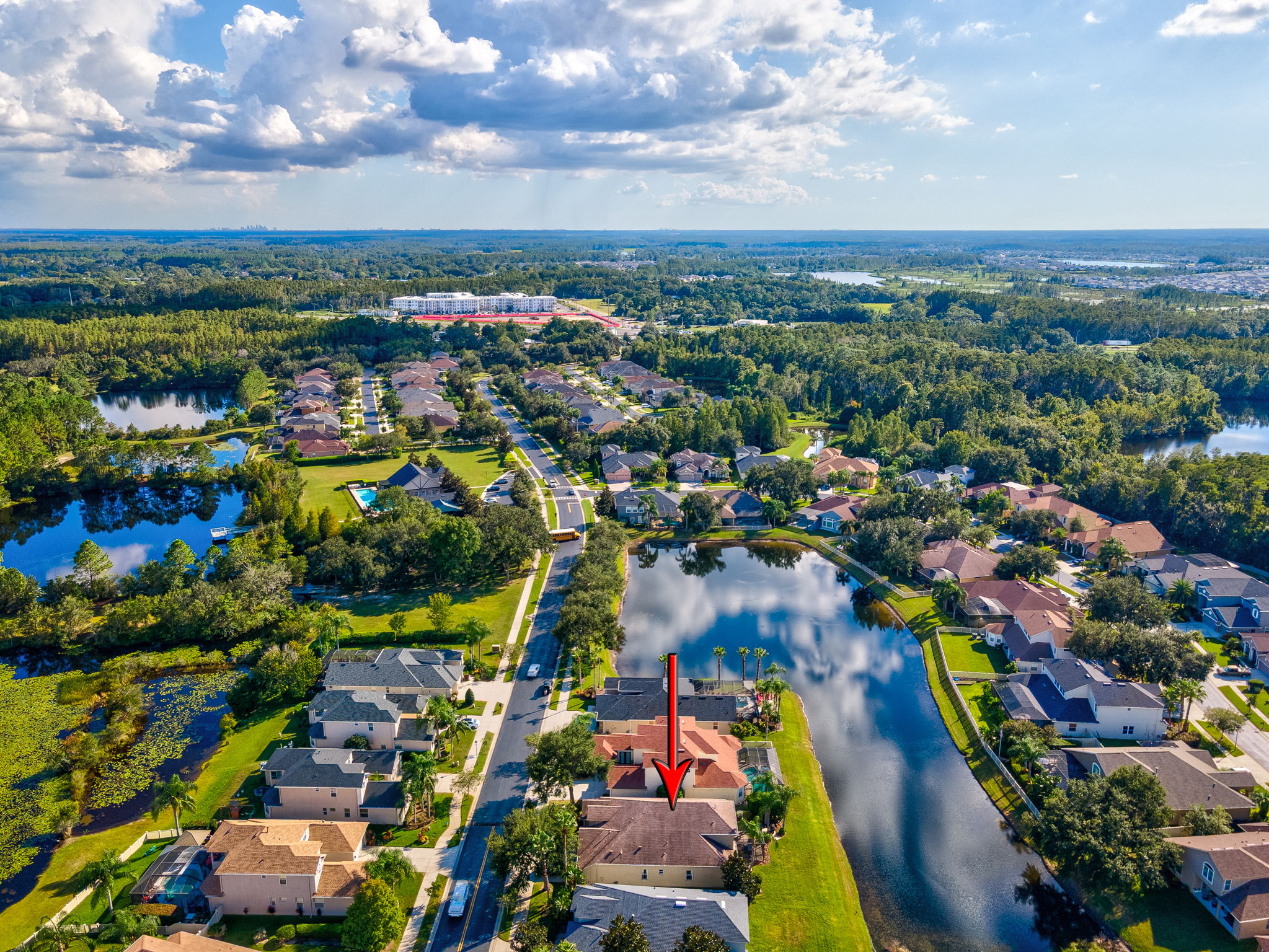 Land O Lakes, Florida, 34638, United States, 4 Bedrooms Bedrooms, ,4 BathroomsBathrooms,Residential,For Sale,1973686