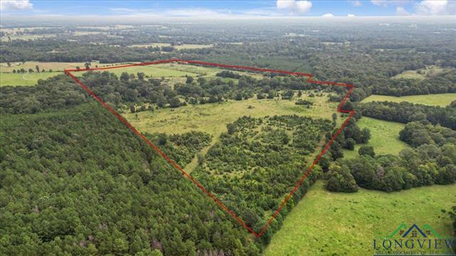 Henderson, Texas, 75654, United States, ,Land,For Sale,1951348