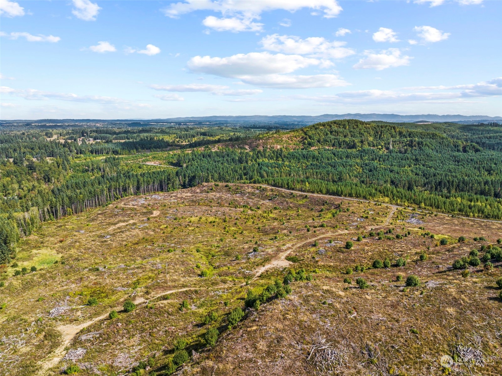 0 Salmon Creek Road, Toledo, Washington, 98591, United States, ,Land,For Sale,0 Salmon Creek Road,1445905