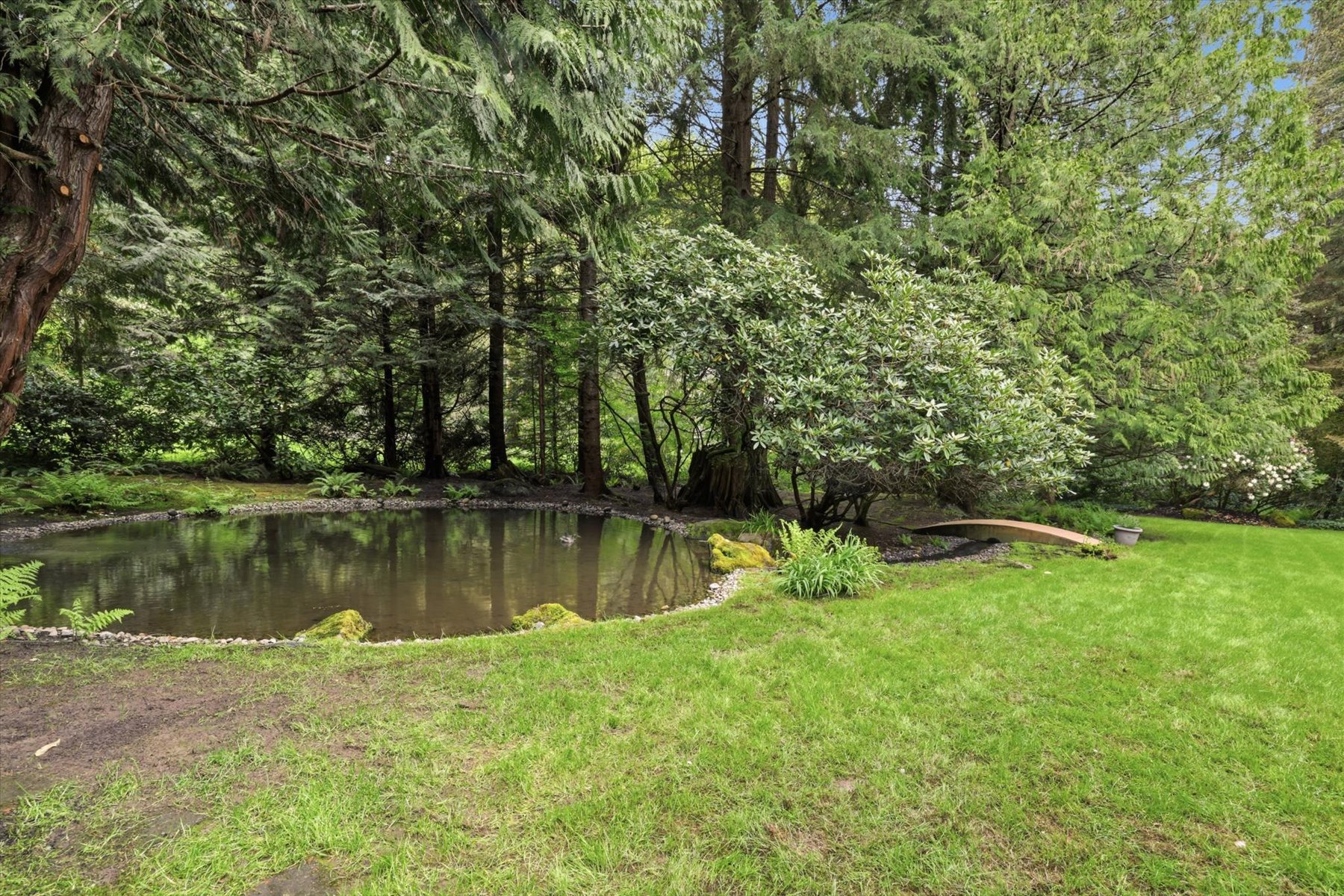  3531 NE 166th St, Lake Forest Park, WA 98155 - 物件實景