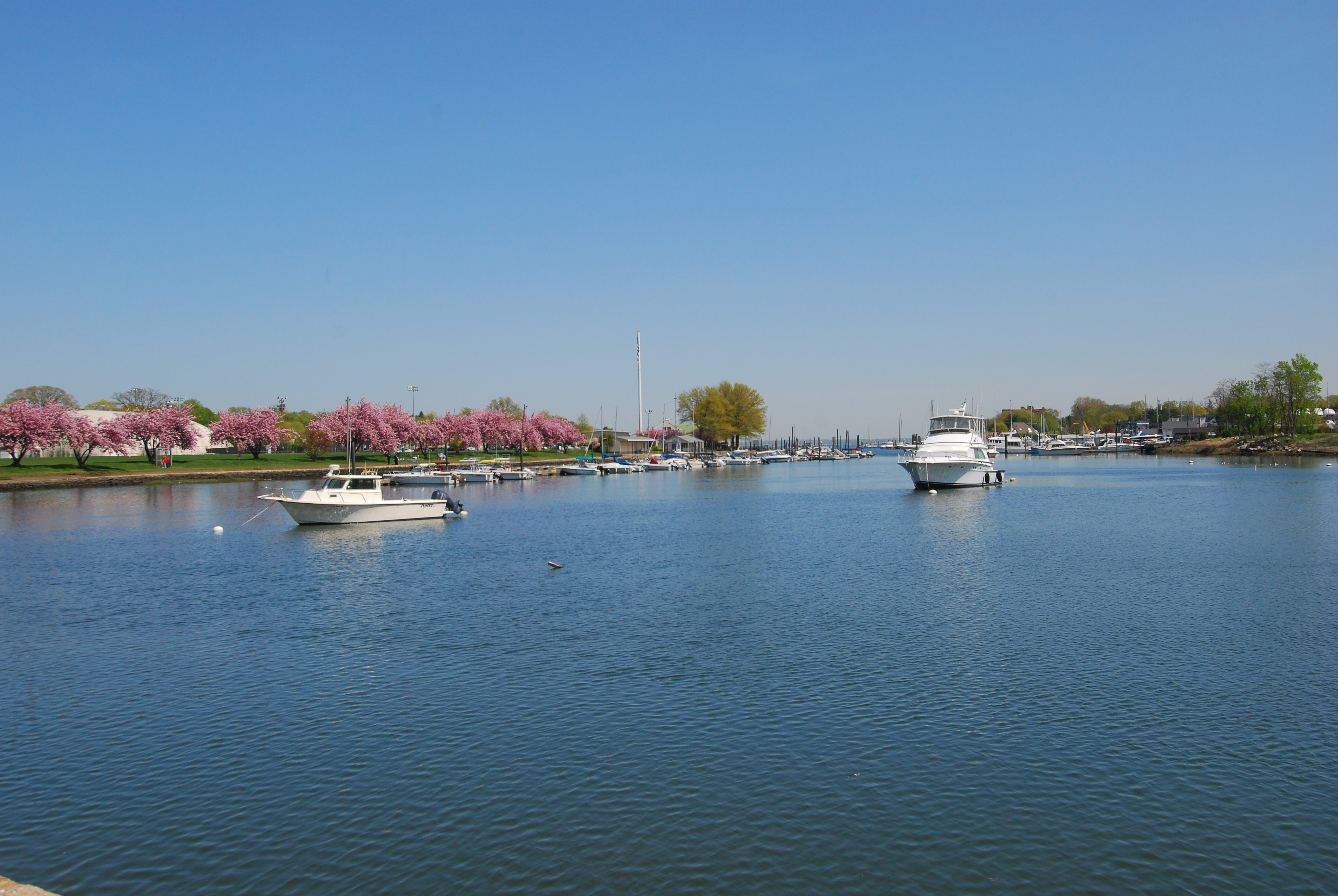 Lovely Harbor Heights Ranch - 物件實景