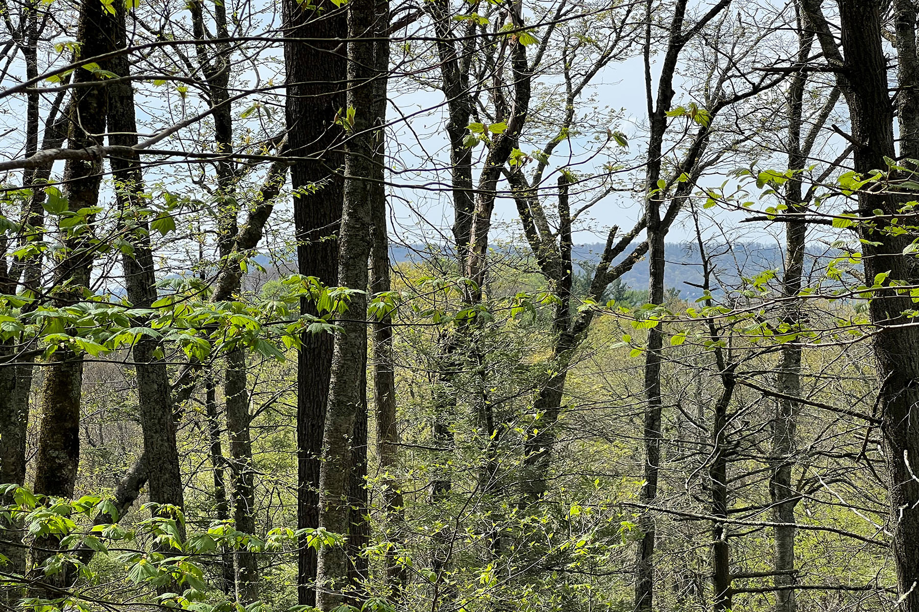  PARKWAY CROSSING - BLOWING ROCK - 物件實景