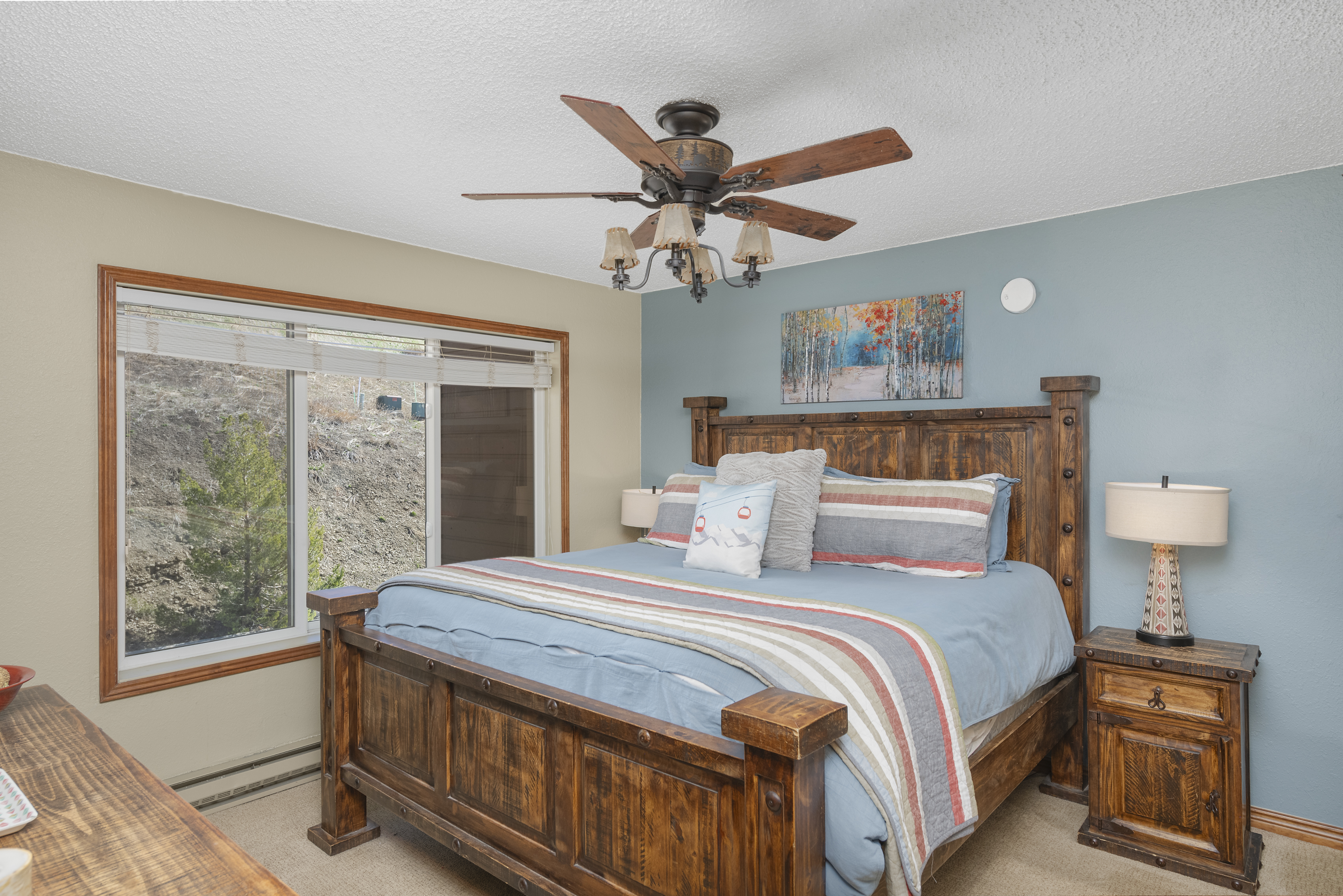  25 Emmons Road, Mt. Crested Butte, CO, 81225 - 物件實景