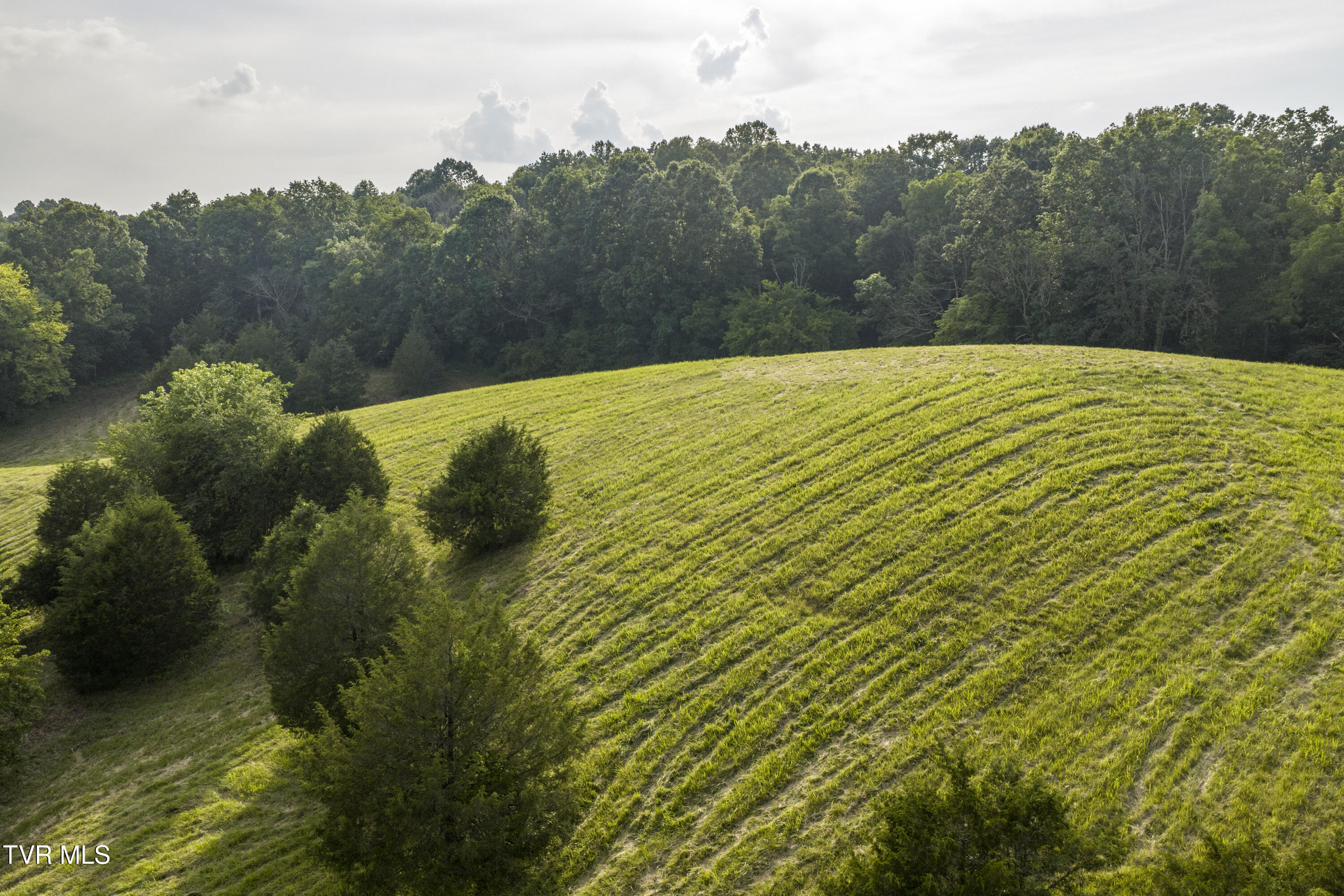 Piney Flats, Tennessee, 37686, United States, ,Land,For Sale,1983828