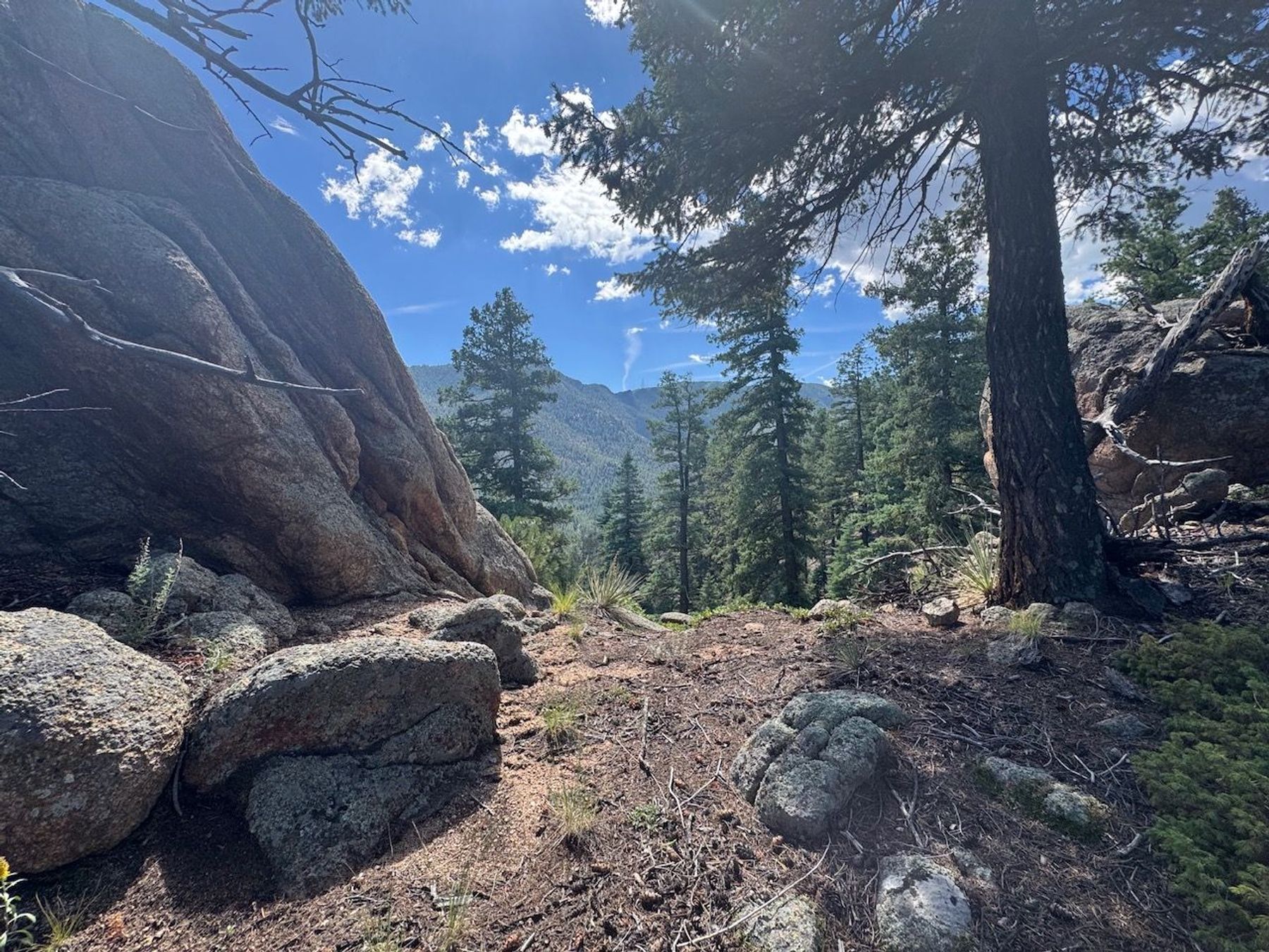  MOUNTAIN SANCTUARY HIGH ABOVE THE BROADMOOR - 物件實景