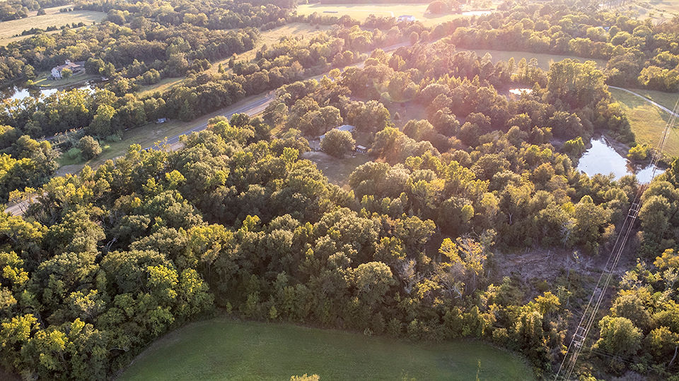 GRAND SALINE, Texas, 75140, United States, 3 Bedrooms Bedrooms, ,2 BathroomsBathrooms,Residential,For Sale,1960368