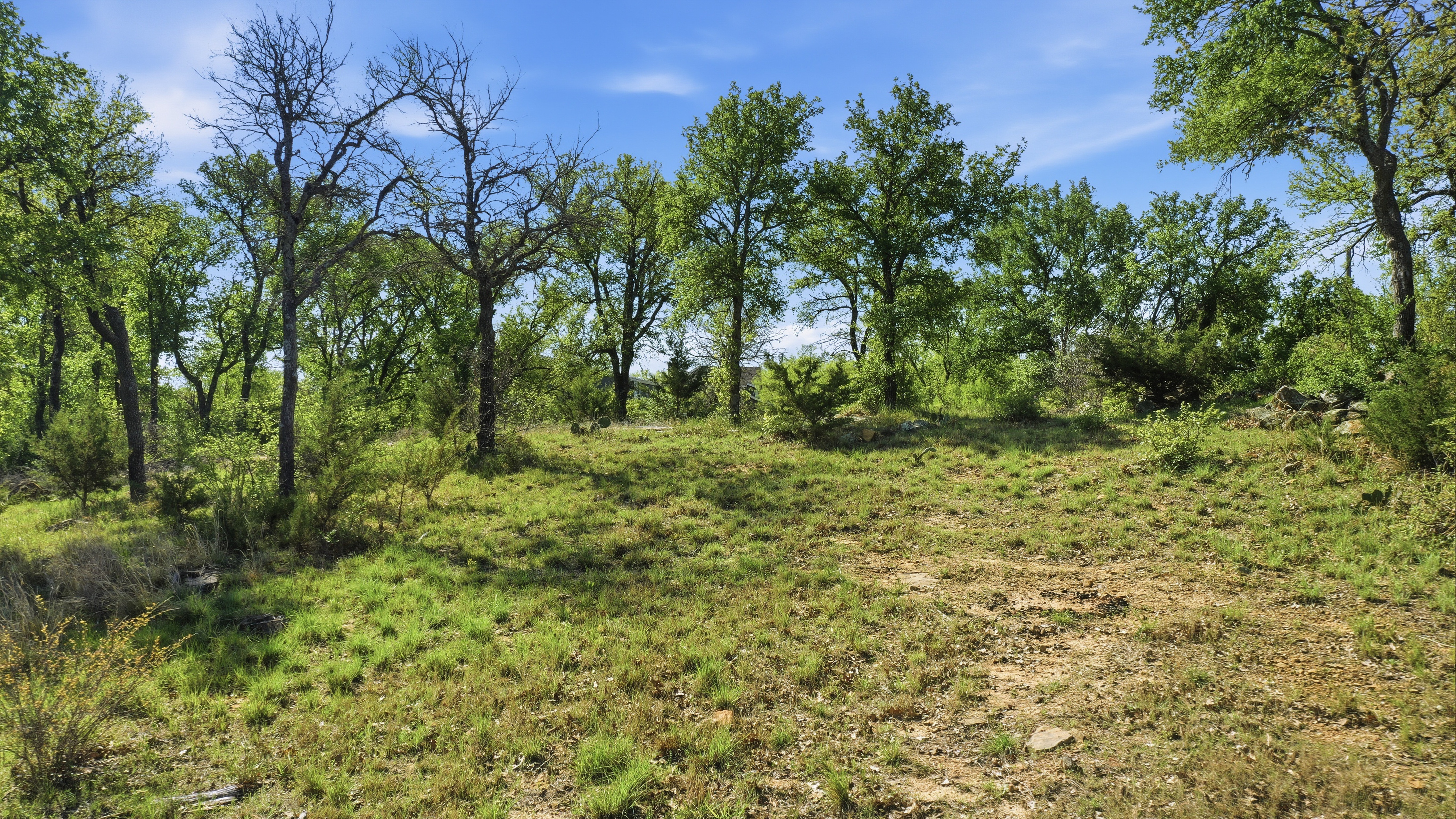  Space for Barns, Workshops, and Big Texas Dreams - 物件實景