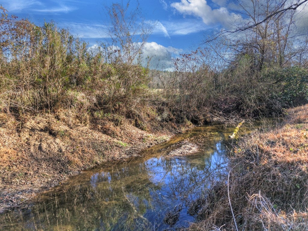 Blue Ridge, Georgia, 30513, United States, 3 Bedrooms Bedrooms, ,3 BathroomsBathrooms,Residential,For Sale,1954403