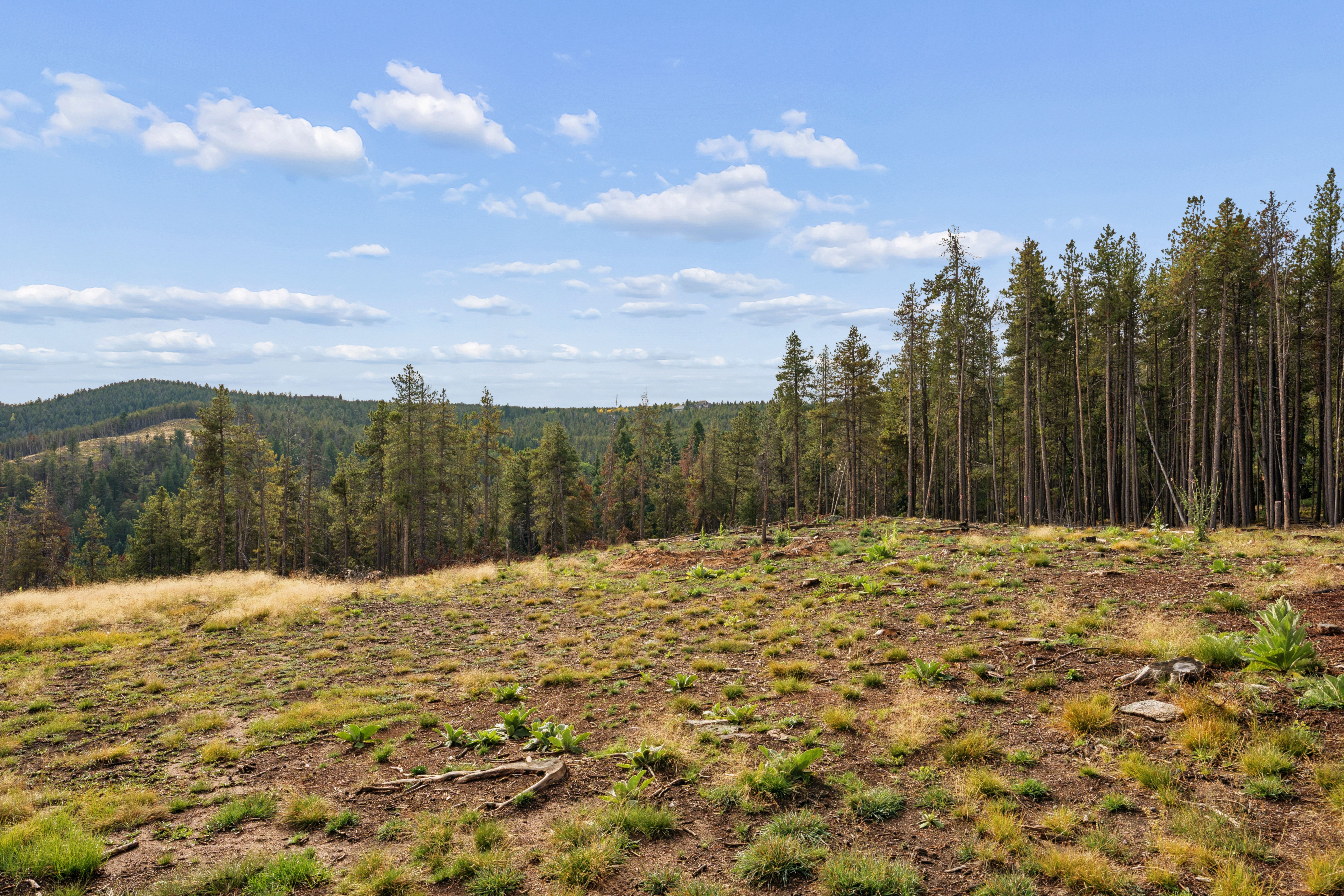  Opportunity to Build Your Foothills Dream Home with Over 7 Acres of Privacy - 物件實景
