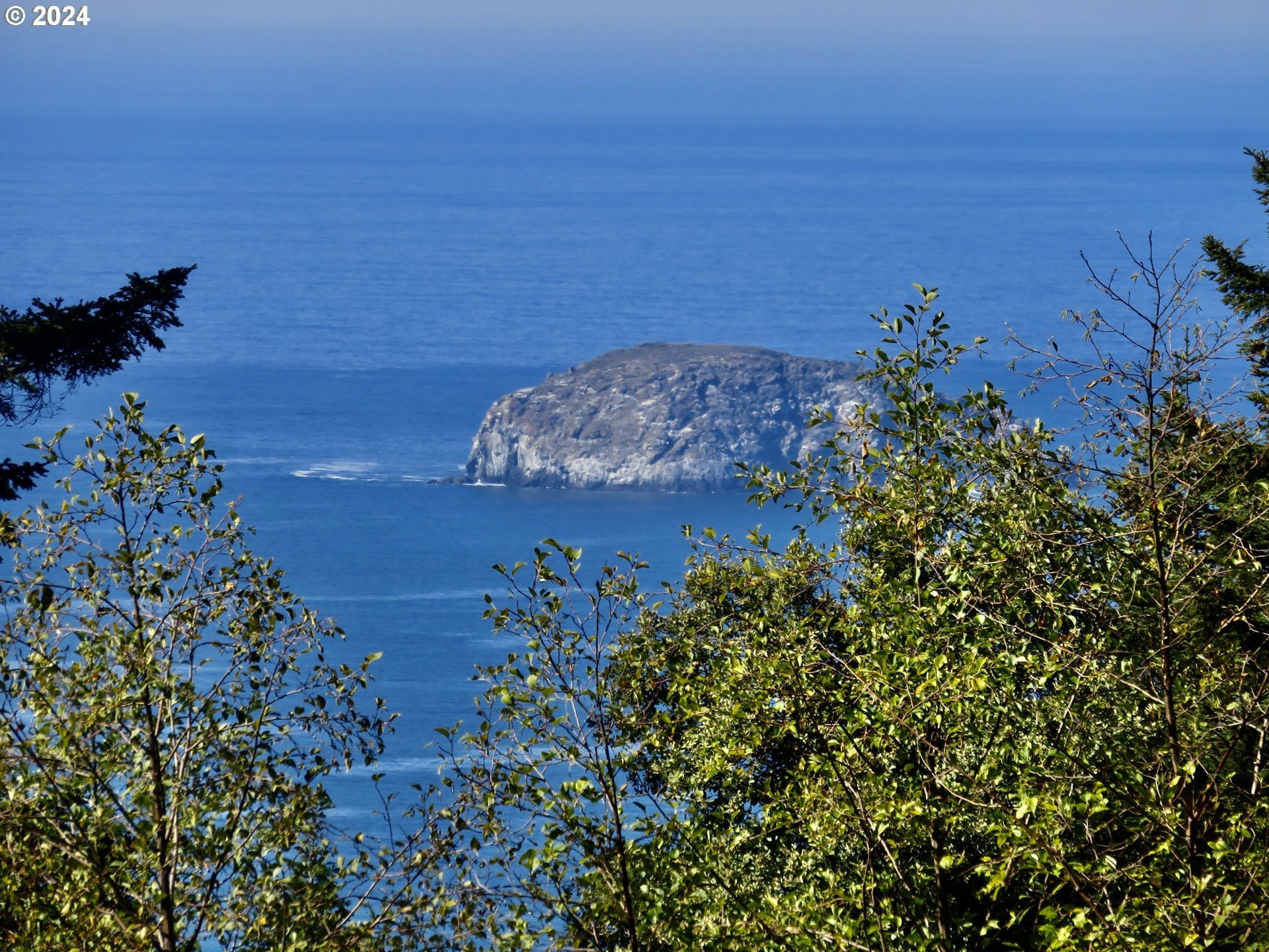 Port Orford, Oregon, 97465, United States, ,Land,For Sale,1977705