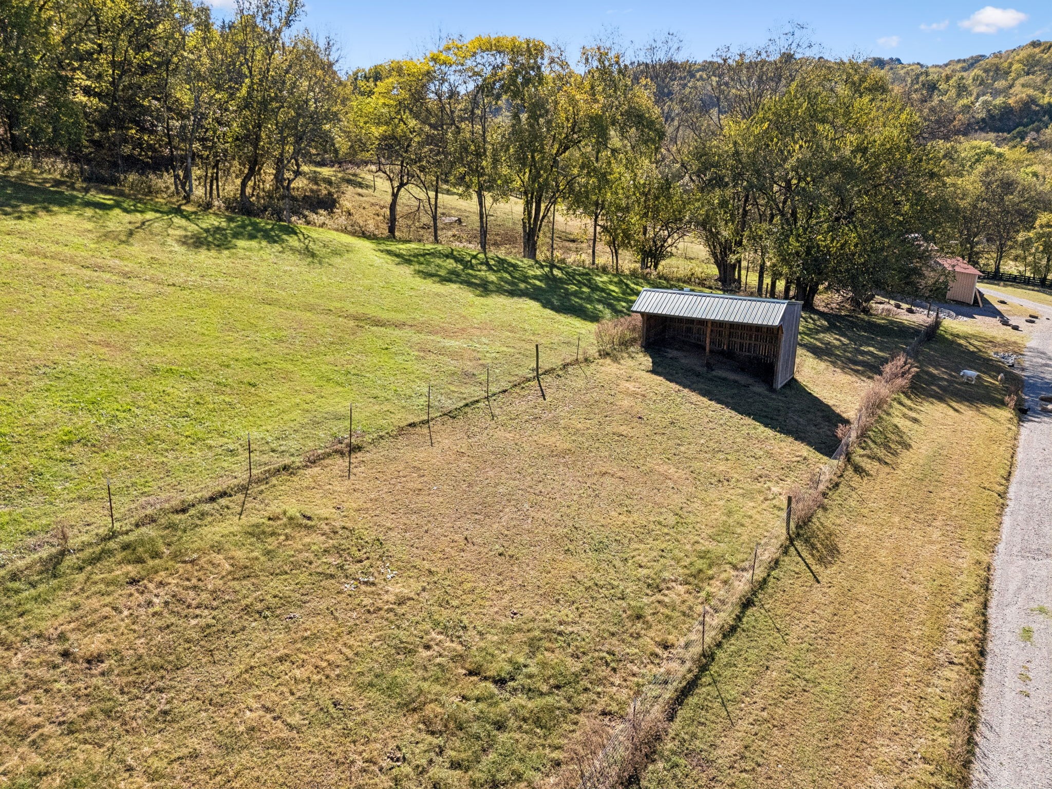  2846 Fuller Hollow Rd, Cornersville, TN, 37047 - 物件實景