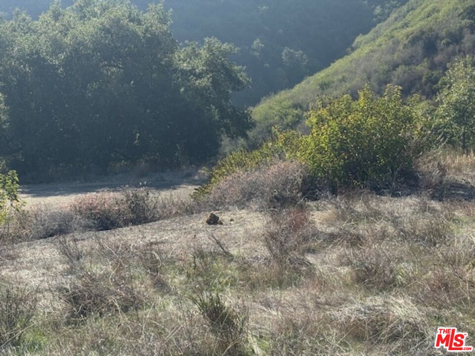 Malibu, California, 90265, United States, ,Land,For Sale,1997286