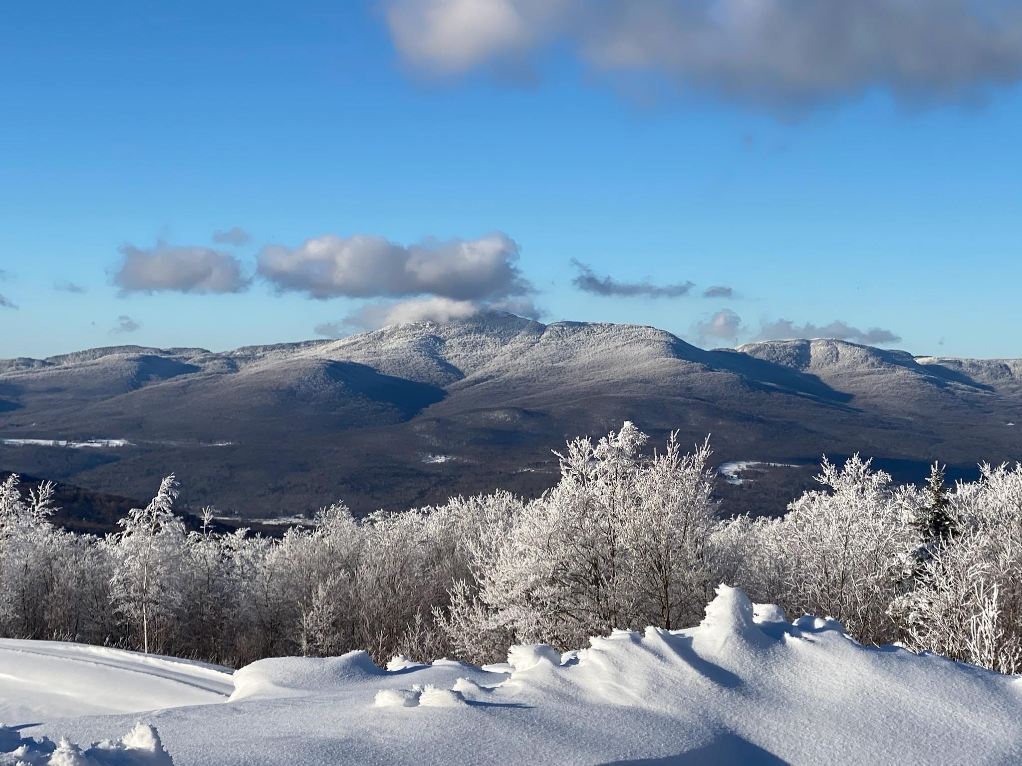 Jay, Vermont, 05859, United States, ,Land,For Sale,1999221