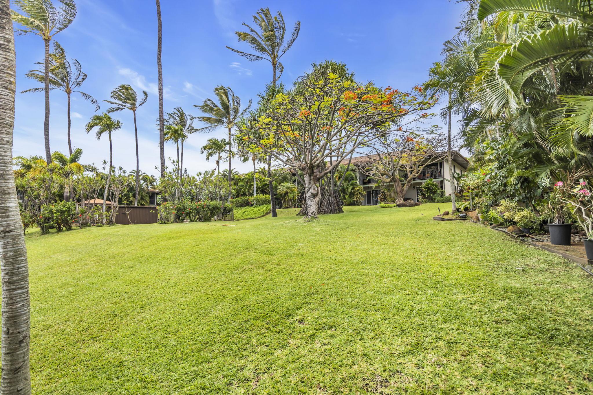 Lahaina, Hawaii, 96761, United States, 1 Bedroom Bedrooms, ,2 BathroomsBathrooms,Residential,For Sale,1821308