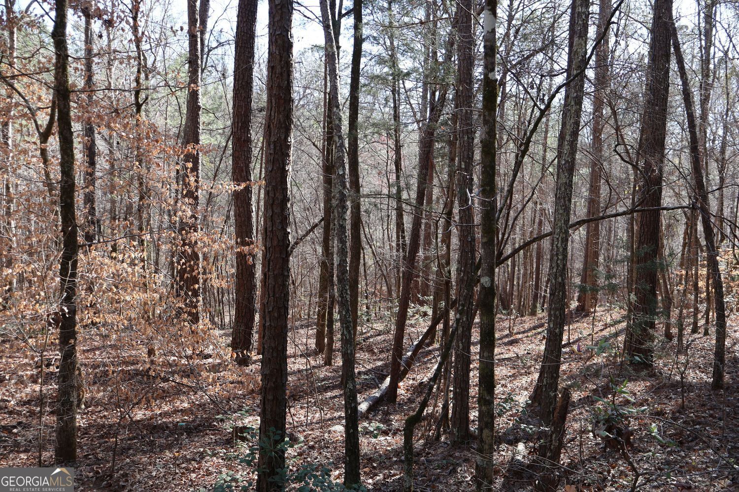 Forsyth, Georgia, 31029, United States, ,Land,For Sale,1907989