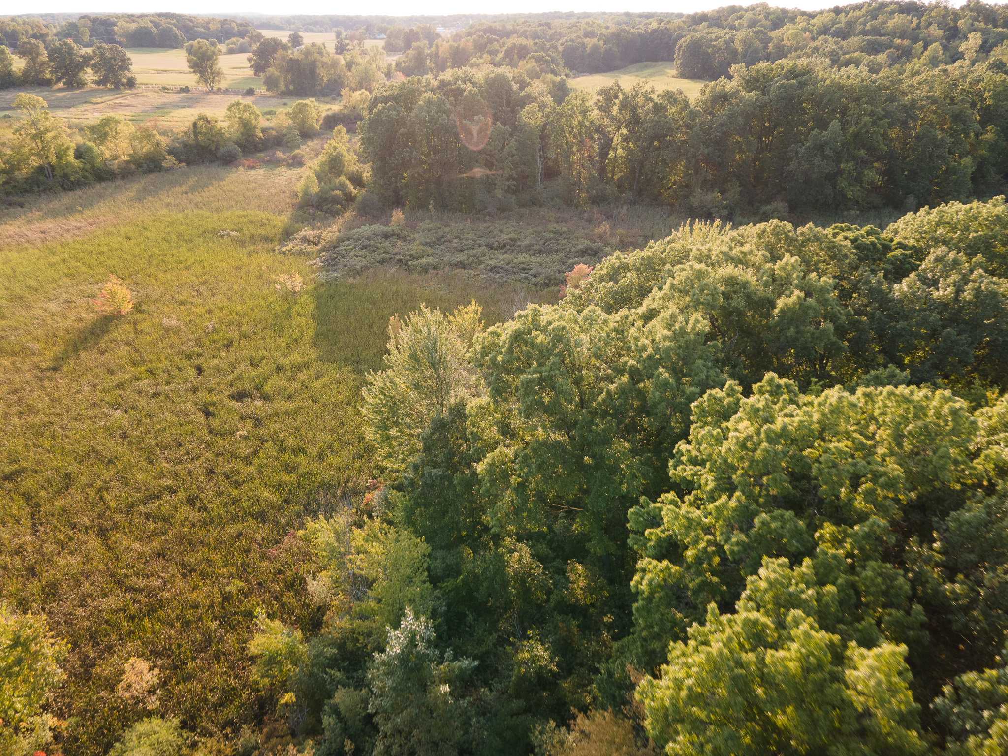 Jackson, Michigan, 49201, United States, 4 Bedrooms Bedrooms, ,2 BathroomsBathrooms,Residential,For Sale,1981022