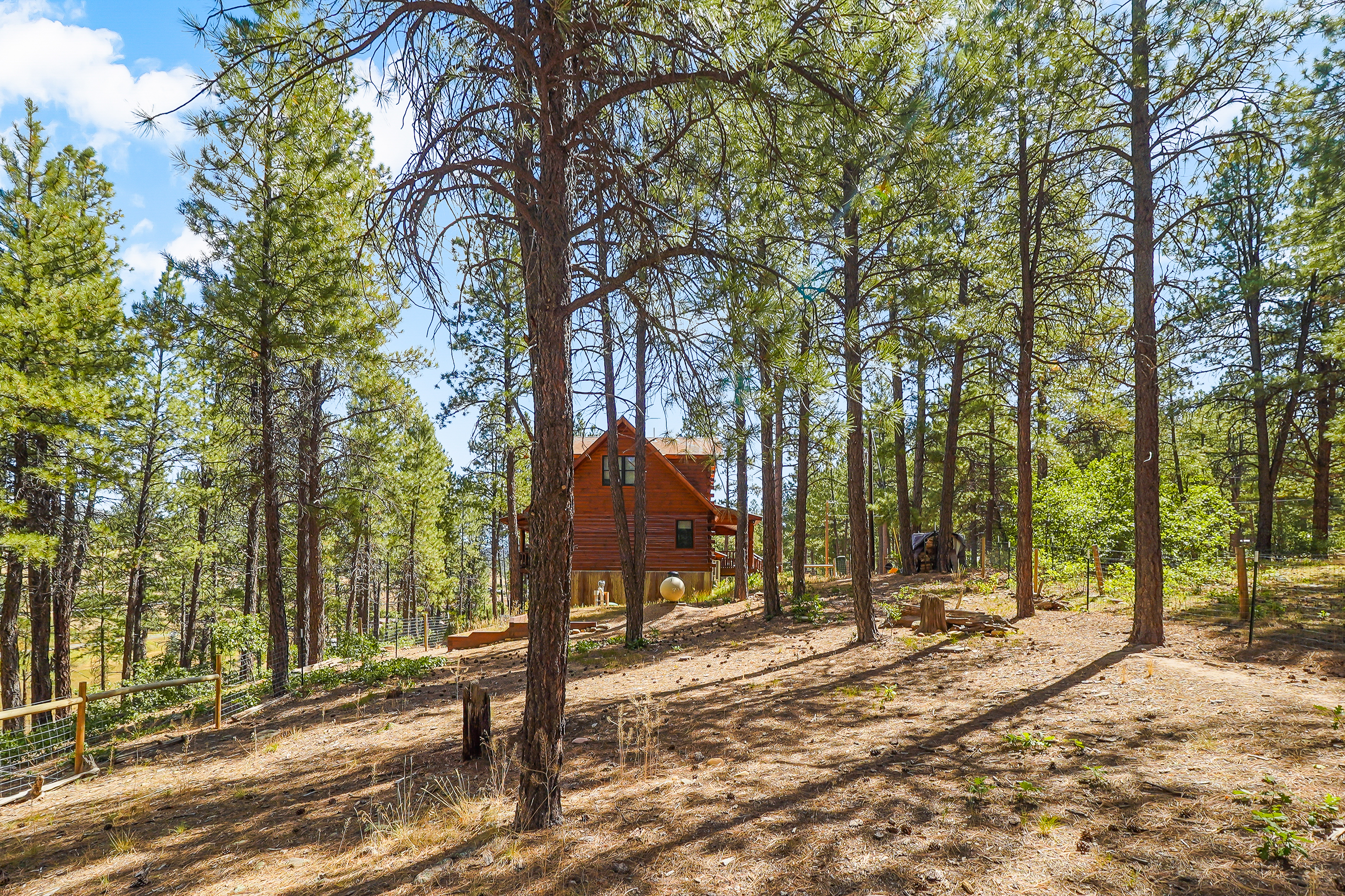  350 Wieland Drive, Bayfield, CO 81122 - 物件實景