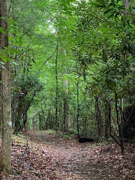 Hiawassee, Georgia, 30546, United States, 3 Bedrooms Bedrooms, ,4 BathroomsBathrooms,Residential,For Sale,1981335