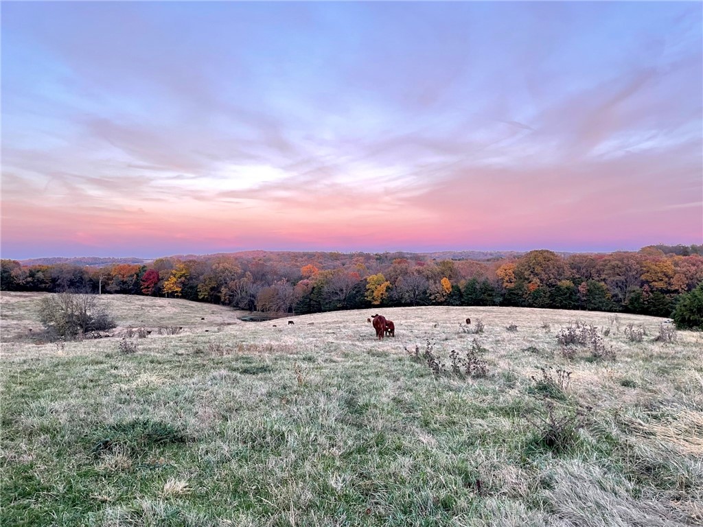 Berryville, Arkansas, 72616, United States, 6 Bedrooms Bedrooms, ,4 BathroomsBathrooms,Residential,For Sale,1988341