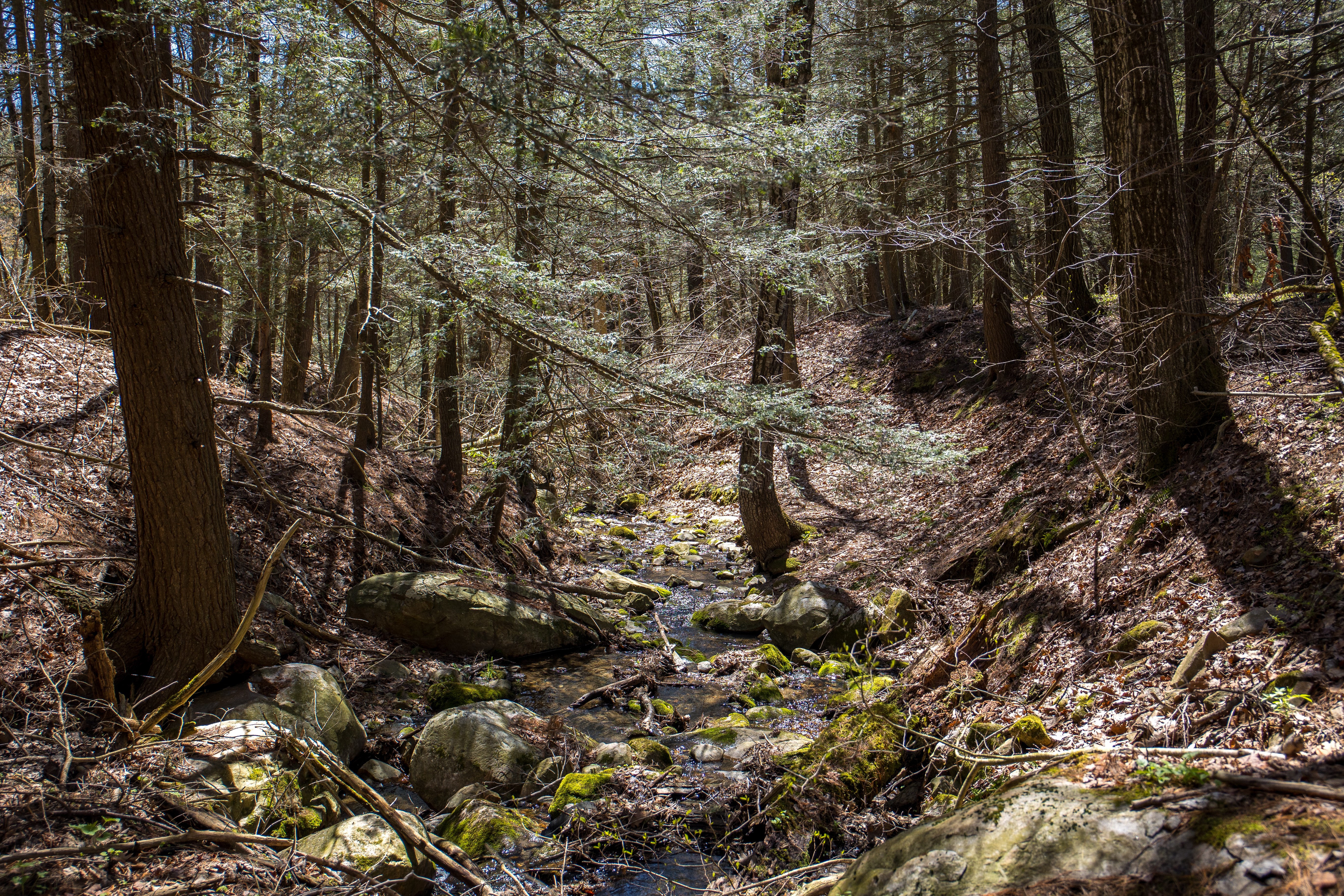 A Tranquil Berkshire Legacy: 22 Scenic Acres and a Landmark 3-Story Barn, Brookm - 物件實景