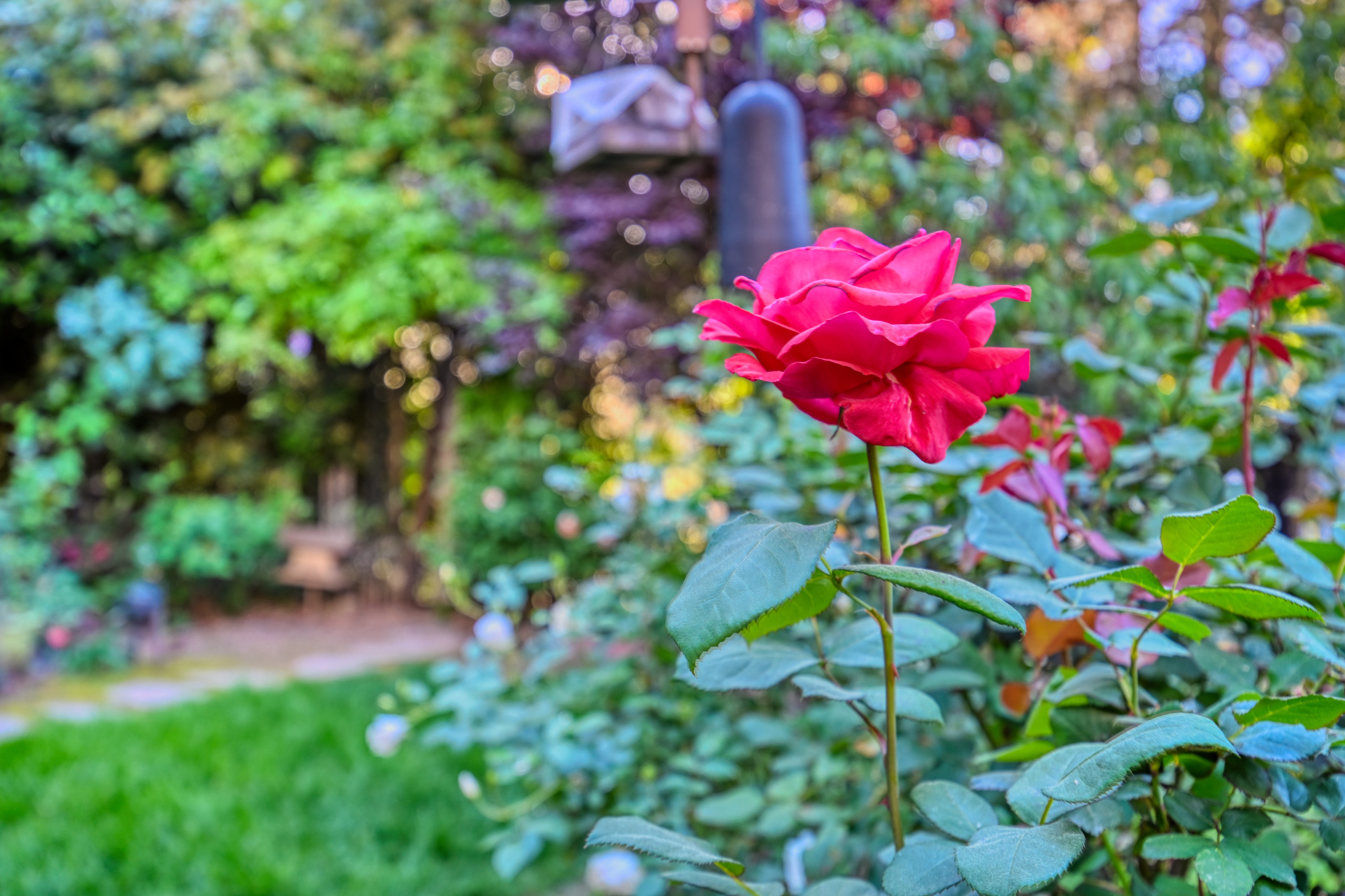  20925 Indian Drive, Colfax, CA 95713 - 物件實景