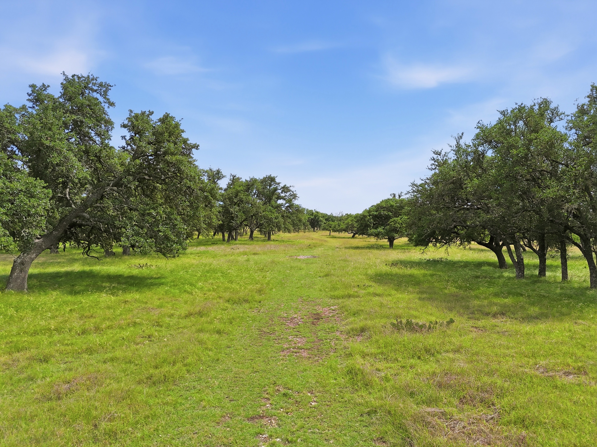  CavaLoma Ranch in Kerr COunty - 物件實景