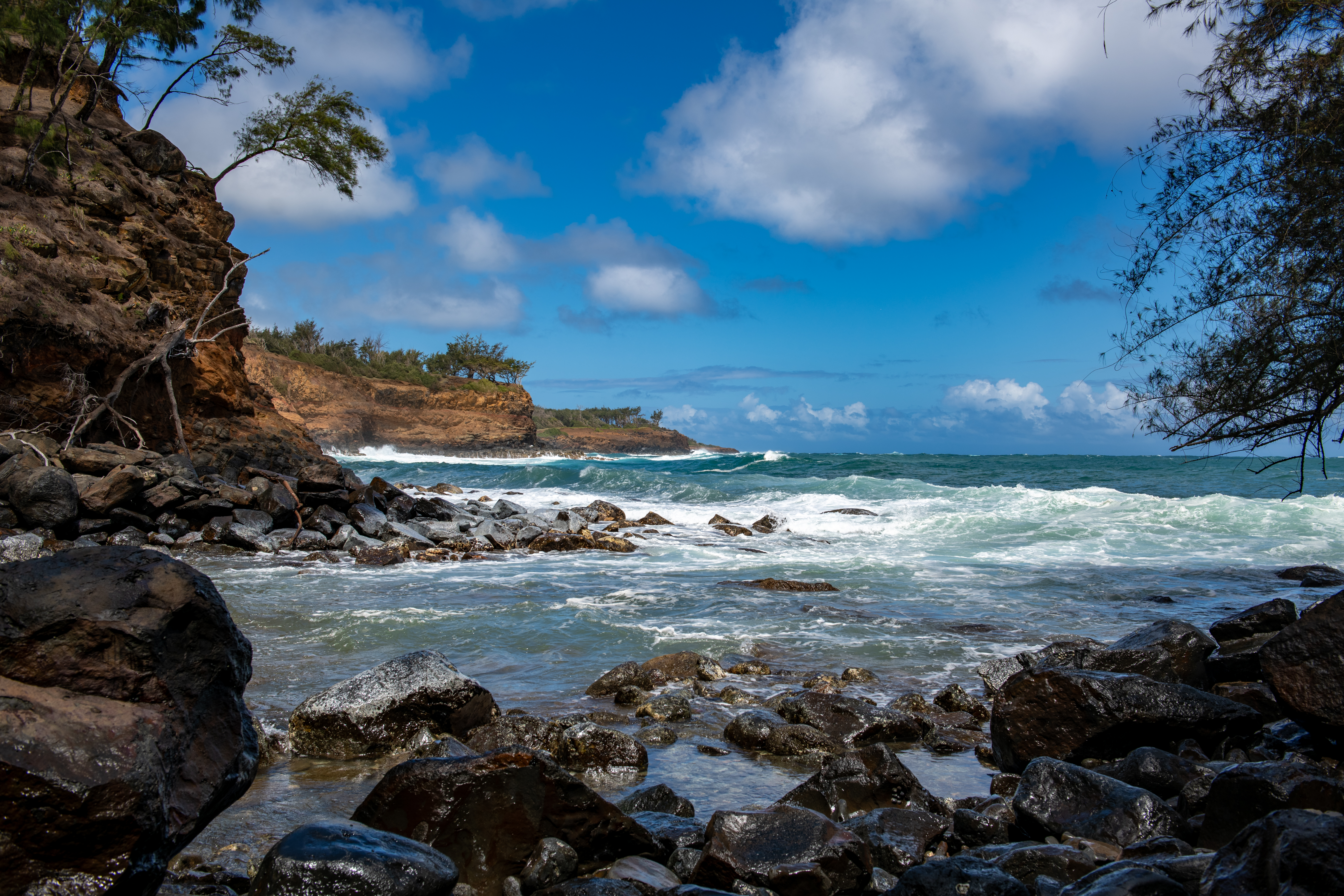  53-4223 Pratt Road, Kapaau, HI 96755 - 物件實景