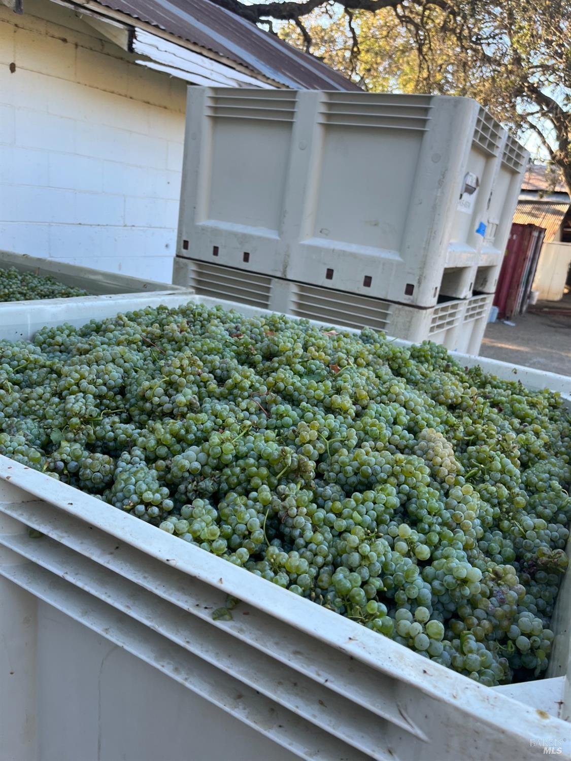 Napa, California, 94558, United States, 3 Bedrooms Bedrooms, ,3 BathroomsBathrooms,Residential,For Sale,1991897