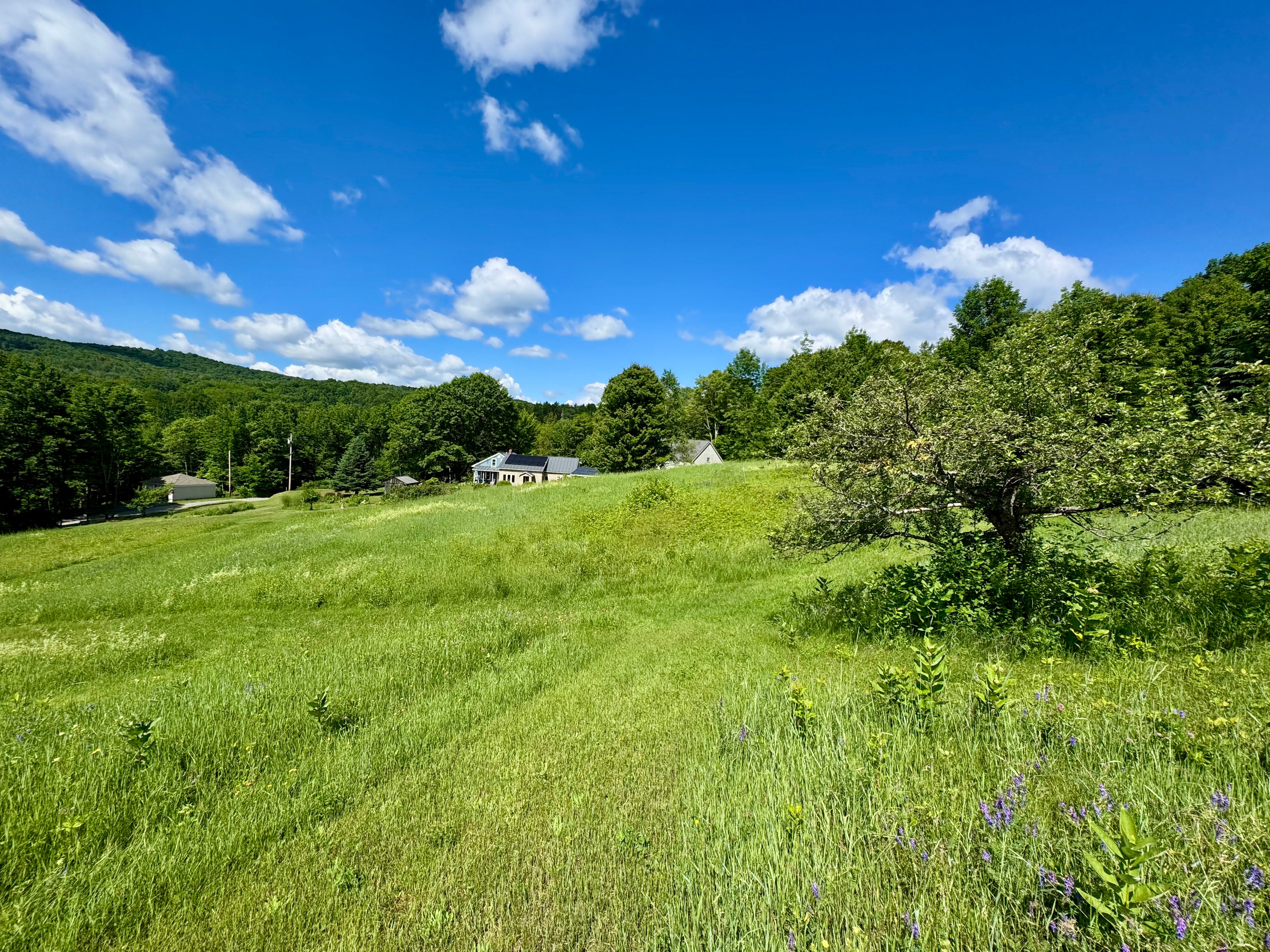  1804 Pike Hill Road - 物件實景