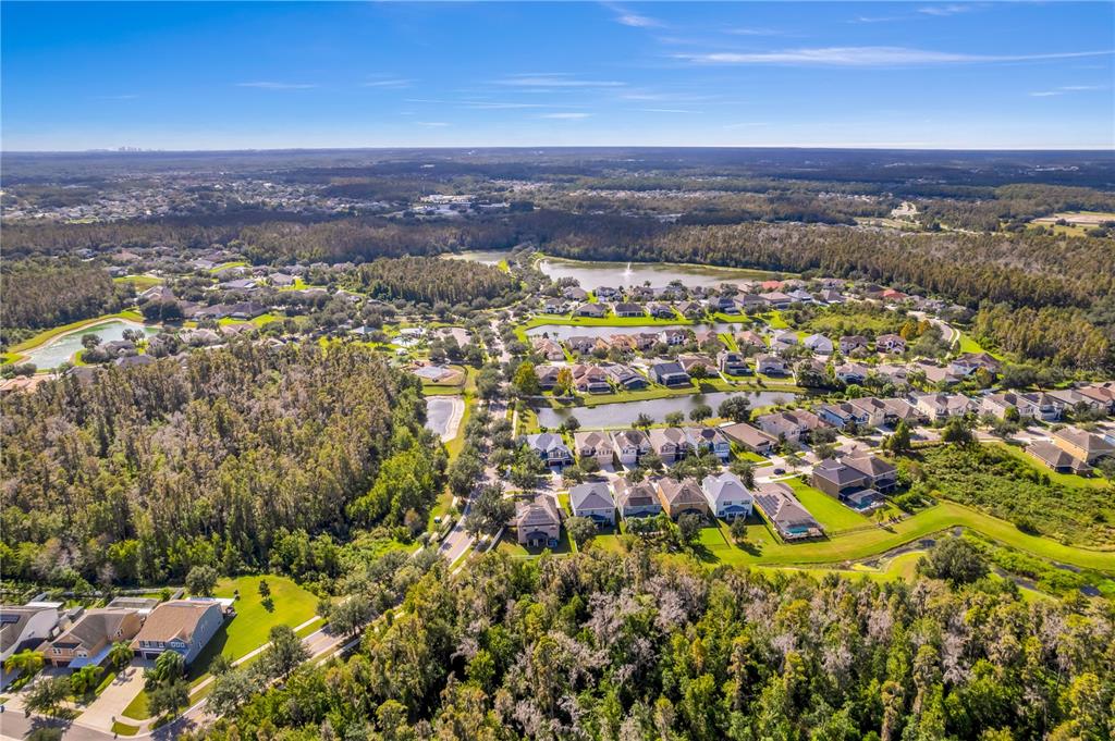 Tampa, Florida, 33647, United States, 5 Bedrooms Bedrooms, ,3 BathroomsBathrooms,Residential,For Sale,1987732