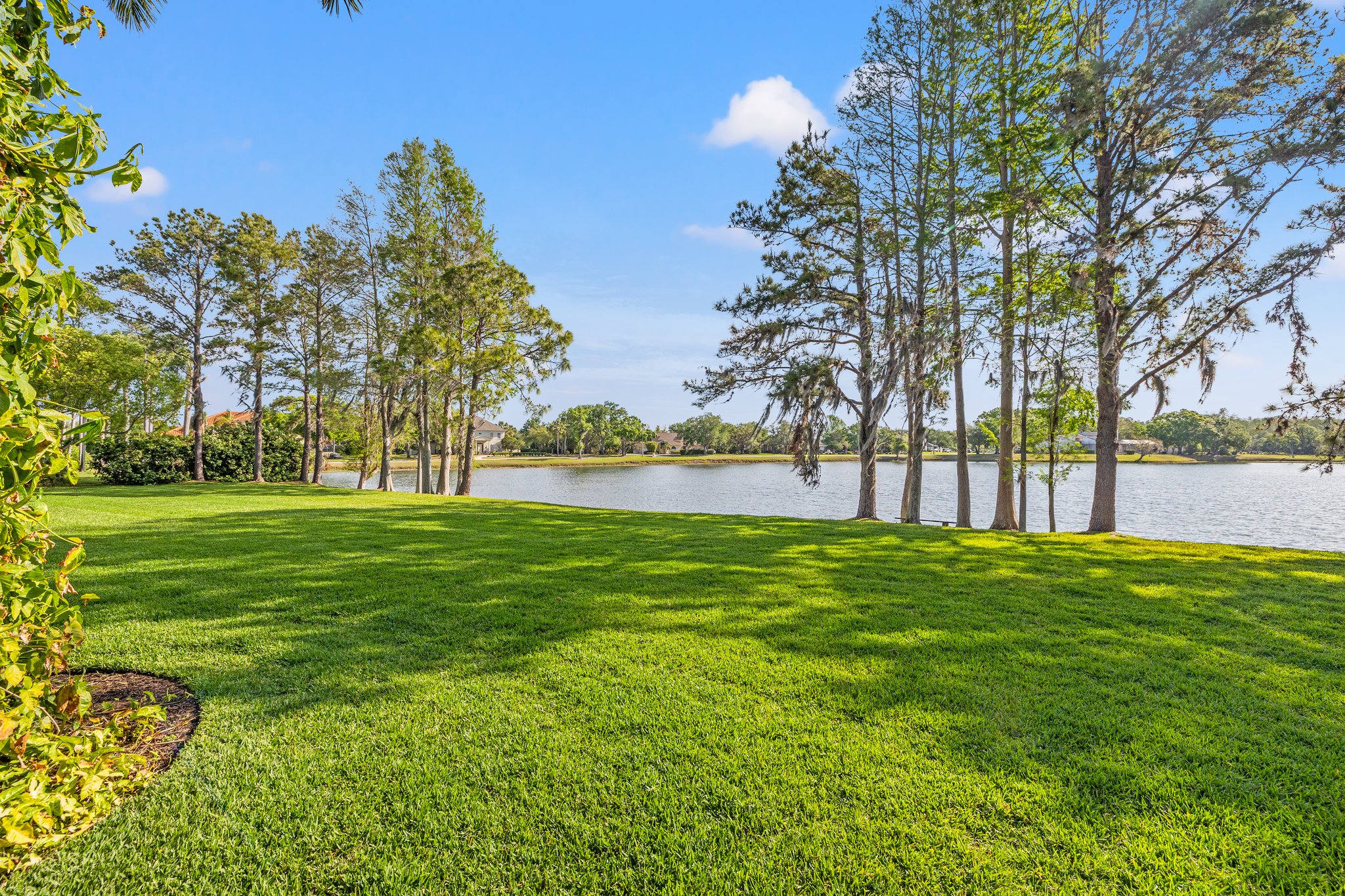 Lutz, Florida, 33558, United States, 5 Bedrooms Bedrooms, ,5 BathroomsBathrooms,Residential,For Sale,1982056