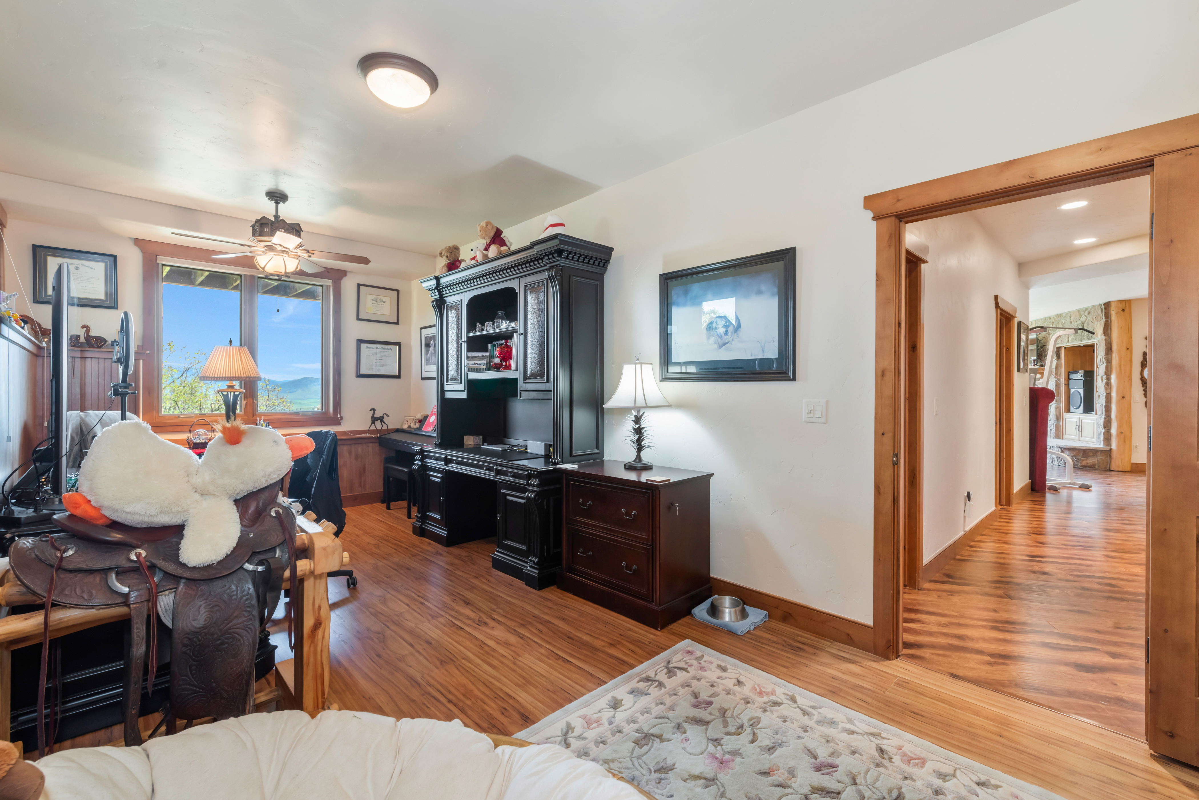  28815 Skyline Drive, Steamboat Springs, CO 80487 - 物件實景
