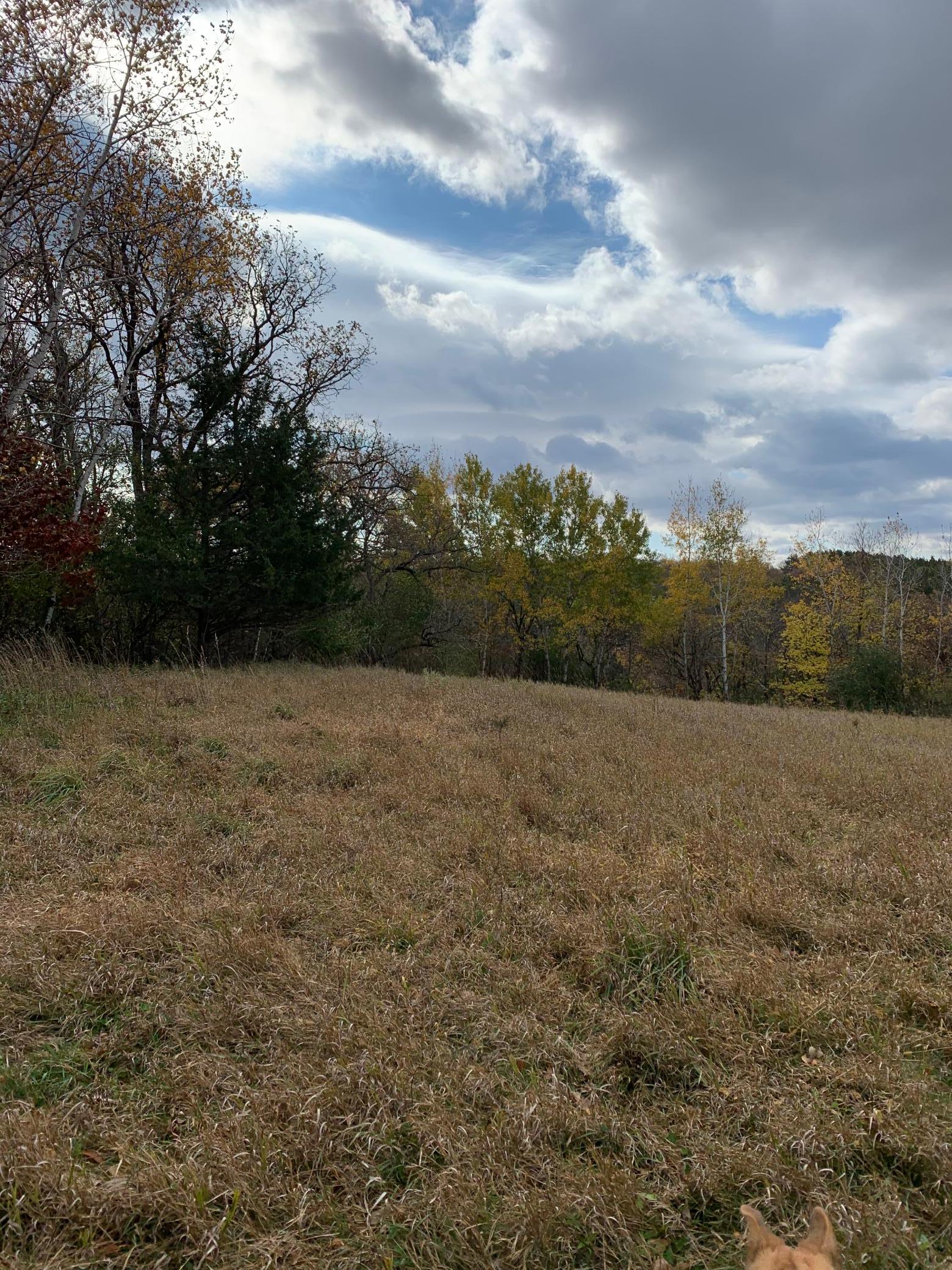 Tbd 75th Street NW, Oronoco Twp, Minnesota, 55901, United States, ,Land,For Sale,Tbd 75th Street NW,1626085
