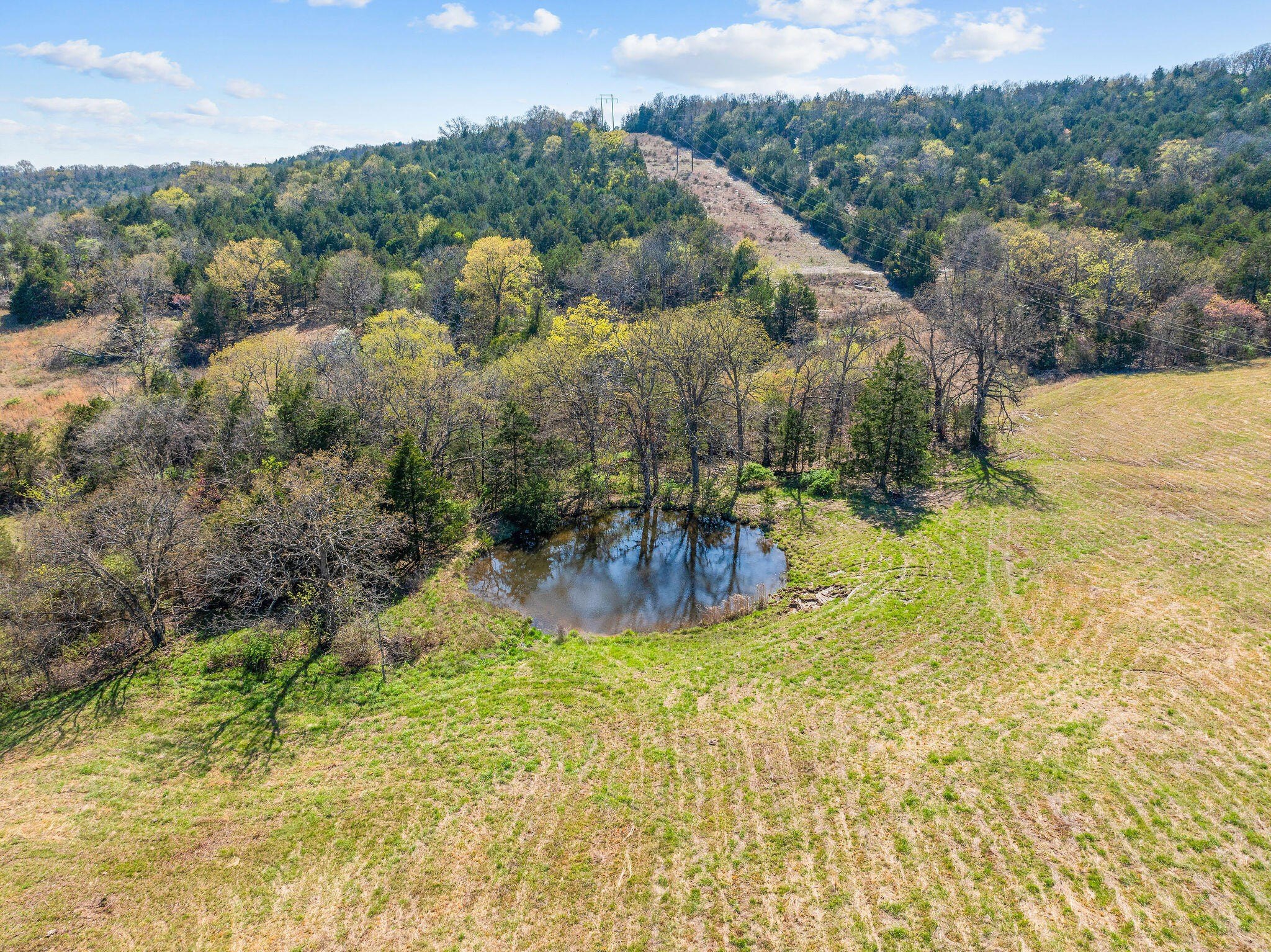 Kirbyville, Missouri, 65679, United States, ,Land,For Sale,1978892