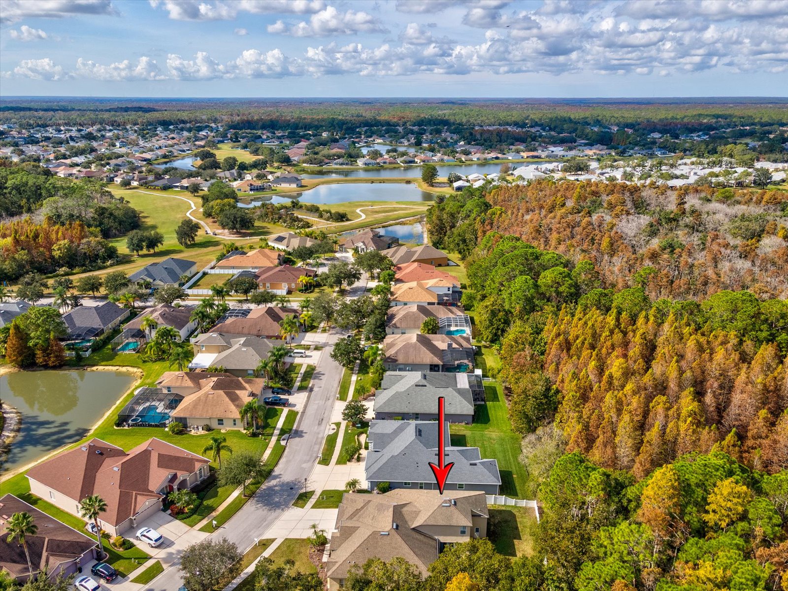Wesley Chapel, Florida, 33544, United States, 4 Bedrooms Bedrooms, ,5 BathroomsBathrooms,Residential,For Sale,2000097