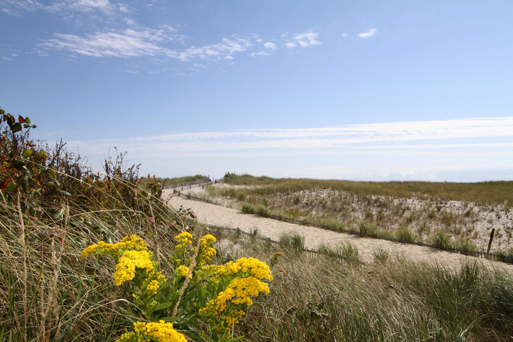  18 West Road, Orleans, MA, 02653 - 物件實景