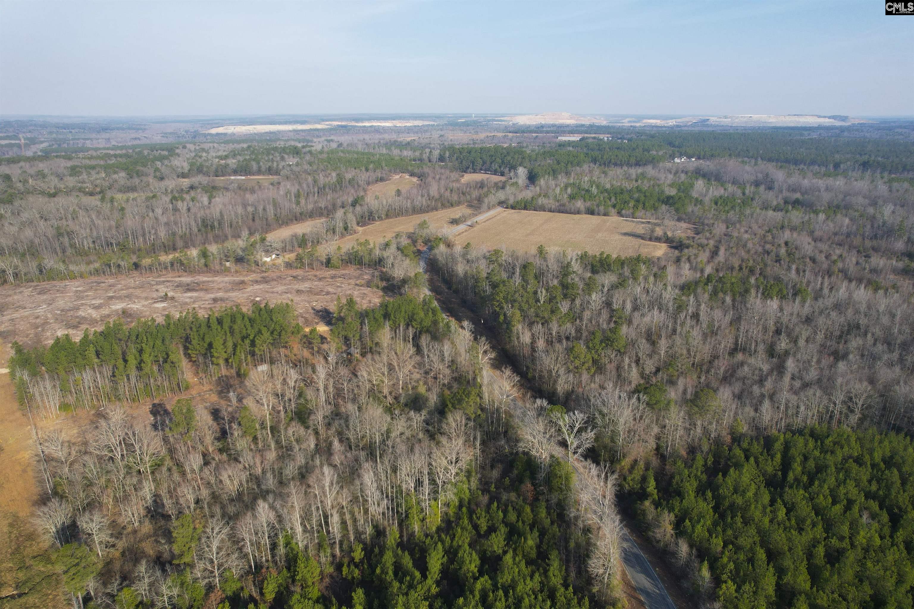703 Neds Creek Road, Kershaw, South Carolina, 29067, United States, ,Land,For Sale,703 Neds Creek Road,1669372