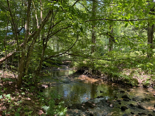 Sevierville, Tennessee, 37862, United States, 1 Bedroom Bedrooms, ,2 BathroomsBathrooms,Residential,For Sale,1979555