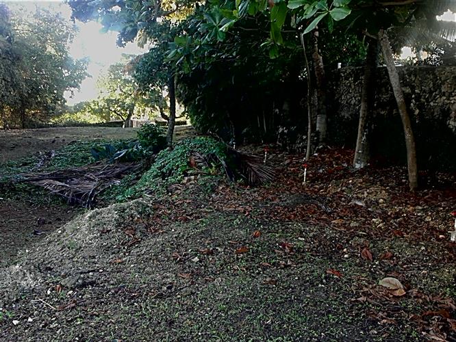 Sosua, DO, ,Land,For Sale,1164552