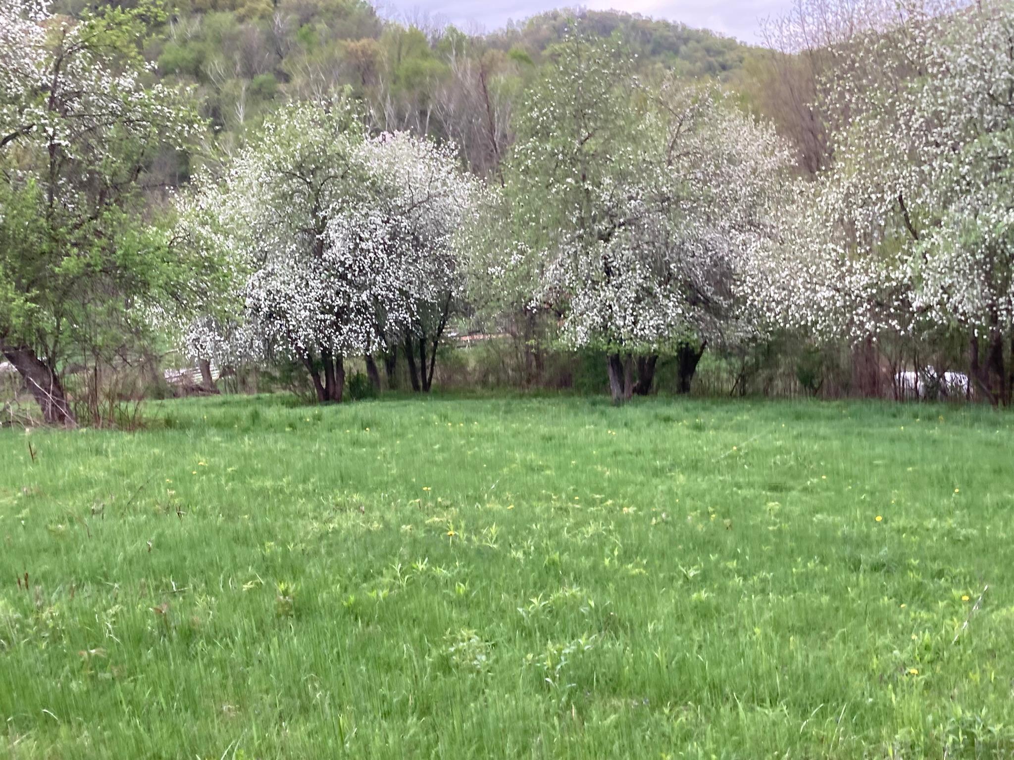 Winona, Minnesota, 55987, United States, 5 Bedrooms Bedrooms, ,2 BathroomsBathrooms,Residential,For Sale,2005788