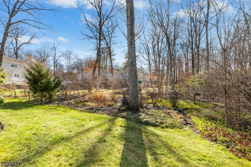 Berkeley Heights Twp., New Jersey, 07922, United States, 4 Bedrooms Bedrooms, ,2 BathroomsBathrooms,Residential,For Sale,2003400