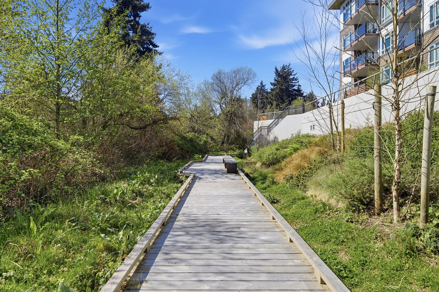  Modern & Cozy Condo - 物件實景