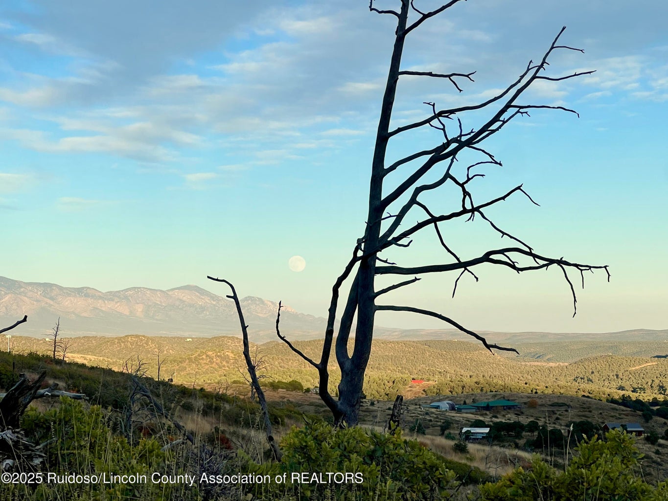 Nogal, New Mexico, 88341, United States, ,Land,For Sale,1988208
