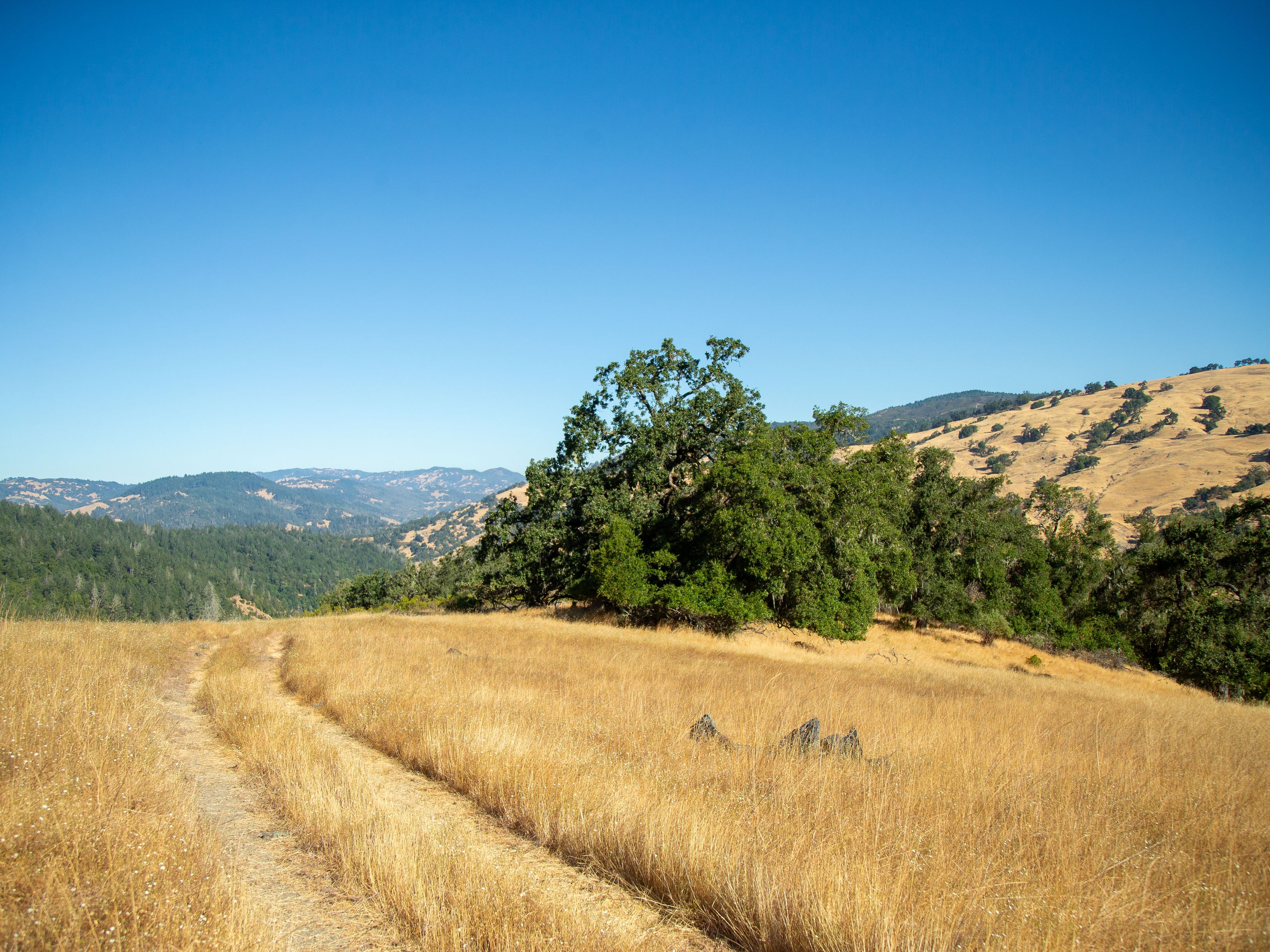  Very Rare Opportunity Alexander Valley Ranch - 物件實景