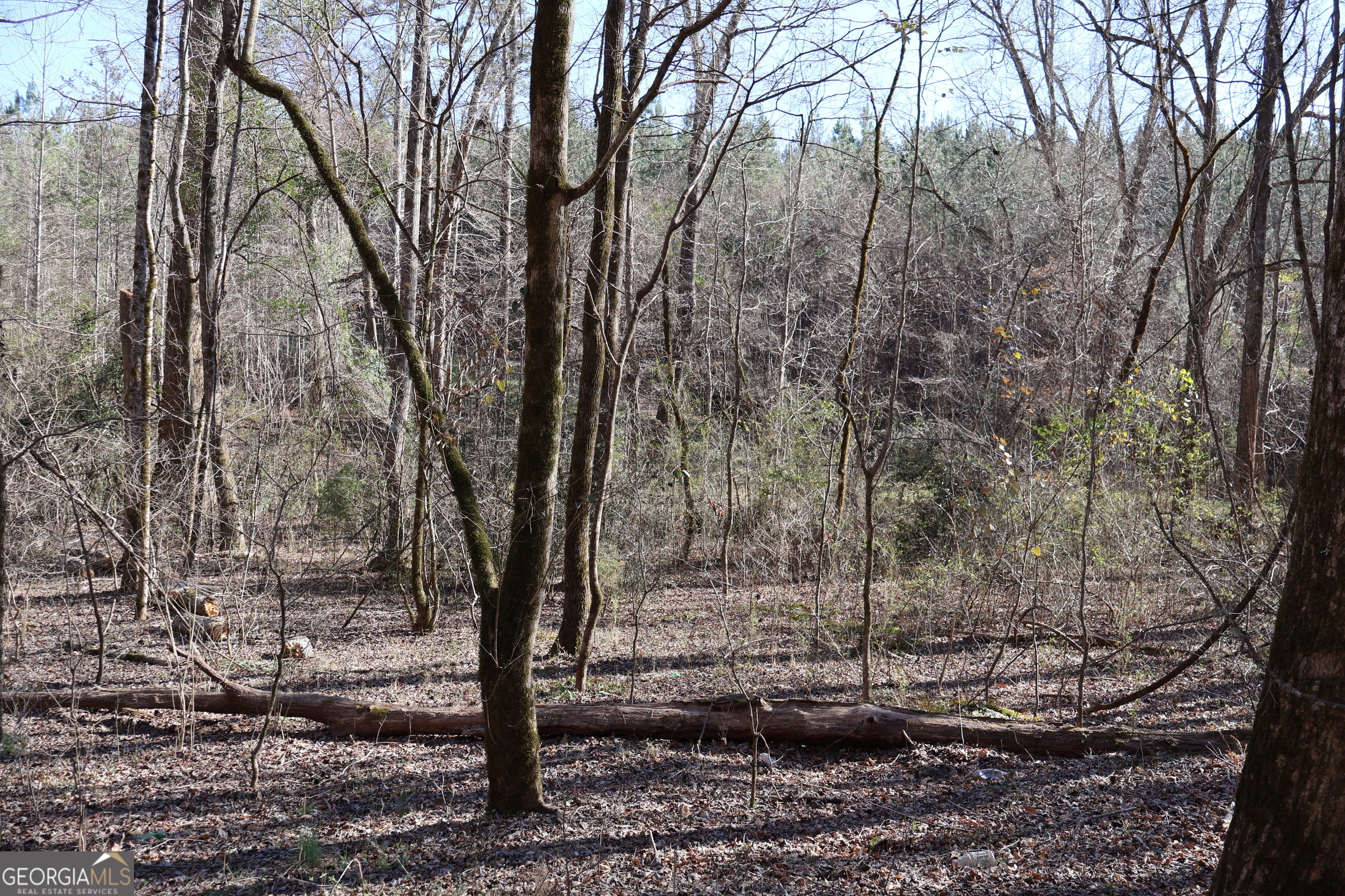 Forsyth, Georgia, 31029, United States, ,Land,For Sale,1858913
