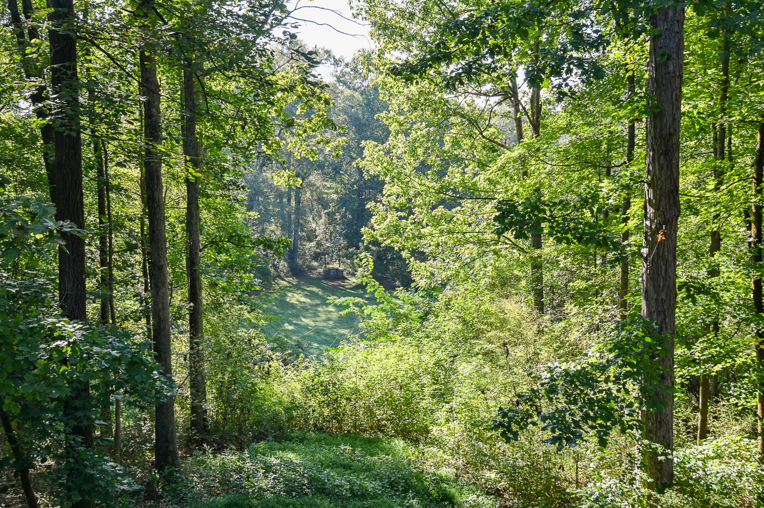 Newborn, Georgia, 30056, United States, 4 Bedrooms Bedrooms, ,4 BathroomsBathrooms,Residential,For Sale,1980186