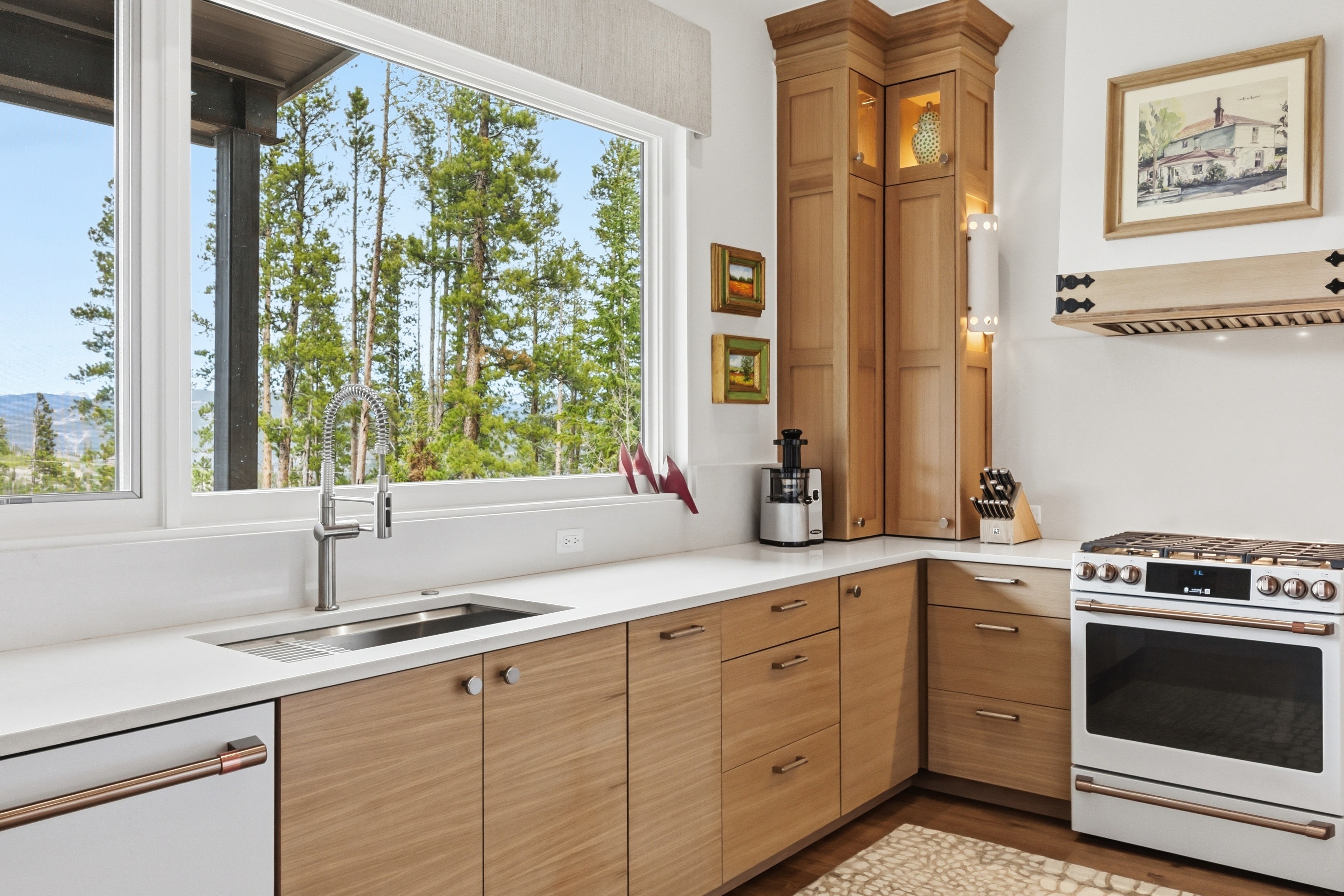  175 Protector Place, Breckenridge, CO, 80424 - 物件實景