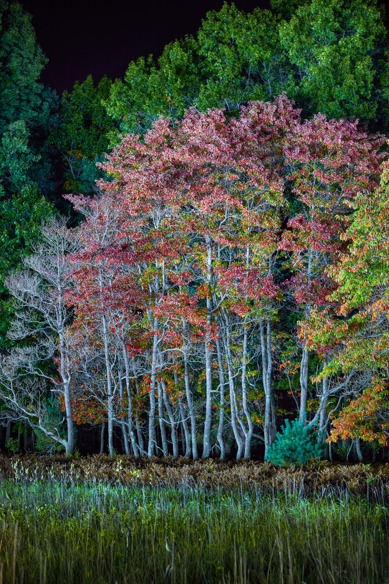 Branch, Michigan, 49402, United States, 1 Bedroom Bedrooms, ,1 BathroomBathrooms,Residential,For Sale,2001233