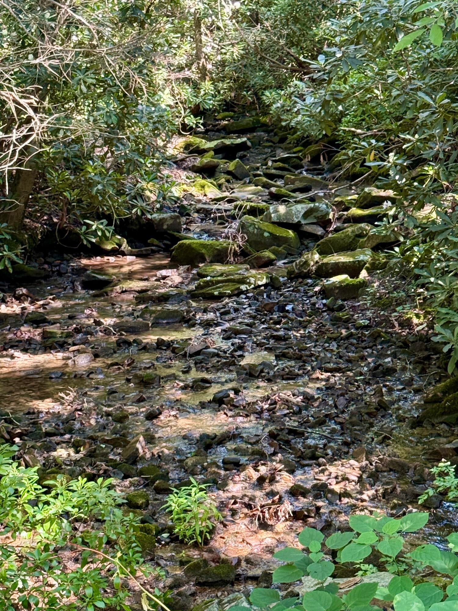 Dunlap, Tennessee, 37327, United States, ,Land,For Sale,1877286